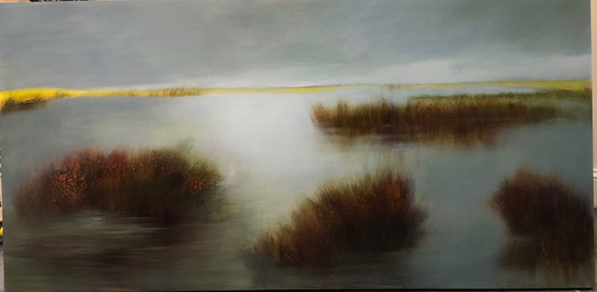 Wide Sea Marshes by Judith Judy