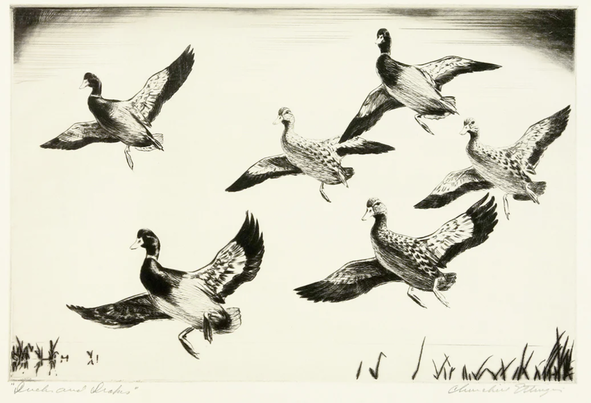 Ducks and Drakes by Churchill Ettinger