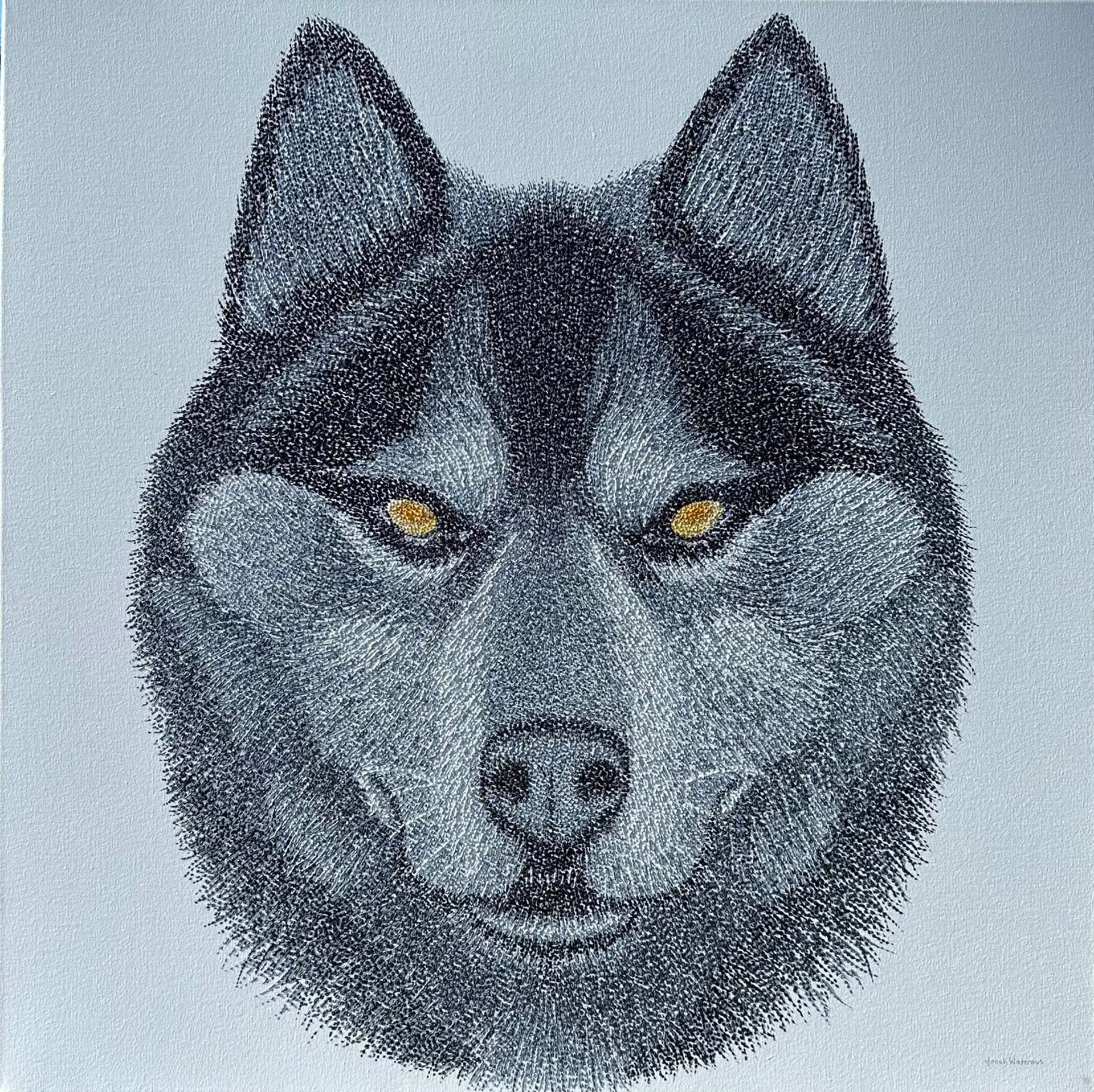 Wolf by Jonah Waterous