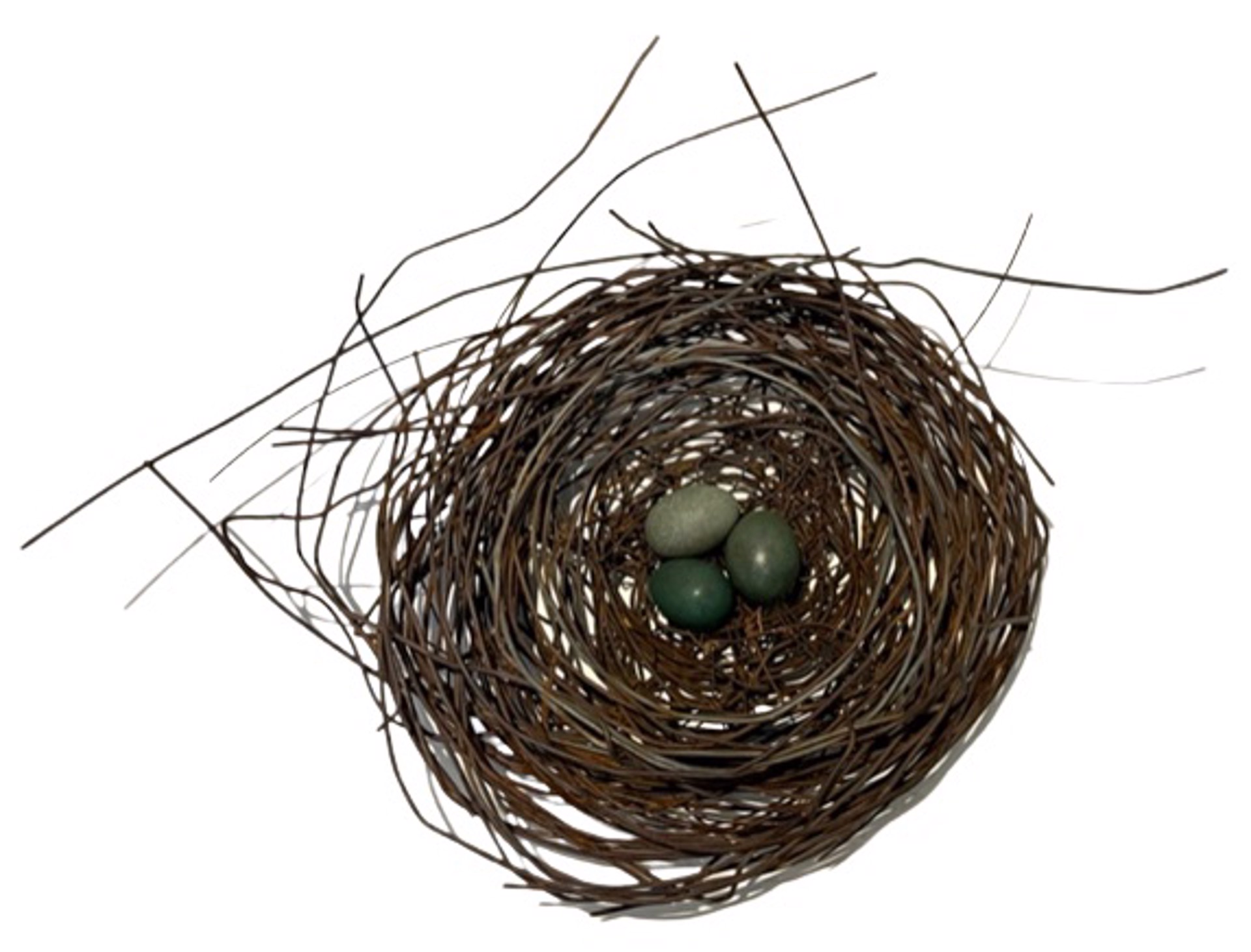 Hand Woven Wire Nest w/Silver/Gold Wire Inside-3 Blue Eggs #1371 by Phil Lichtenhan