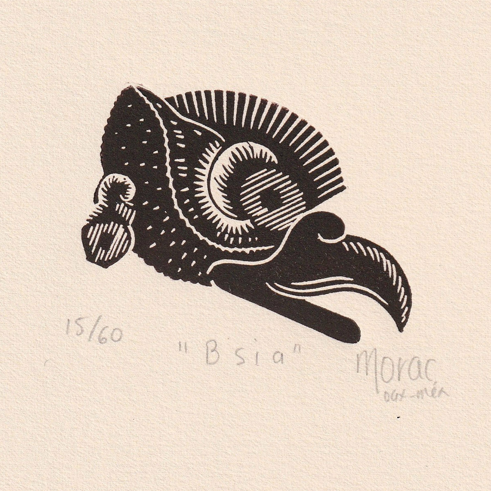 Bsia by Gabriela Morac