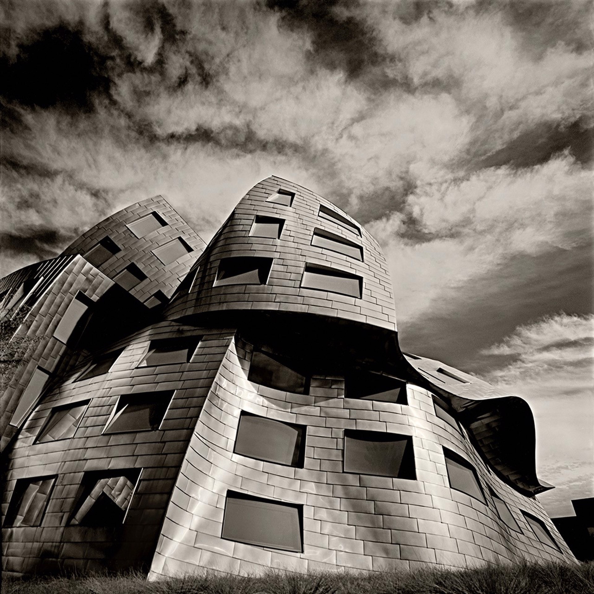 Gehry's Reverie by Mike McMullen