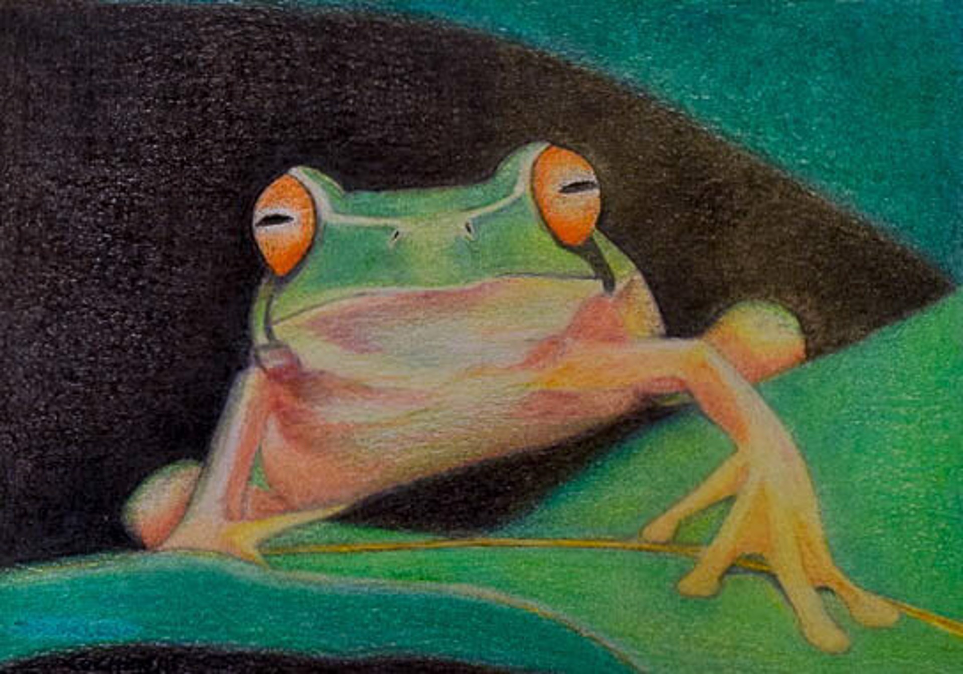 The Frog by D. Wayne Cochran