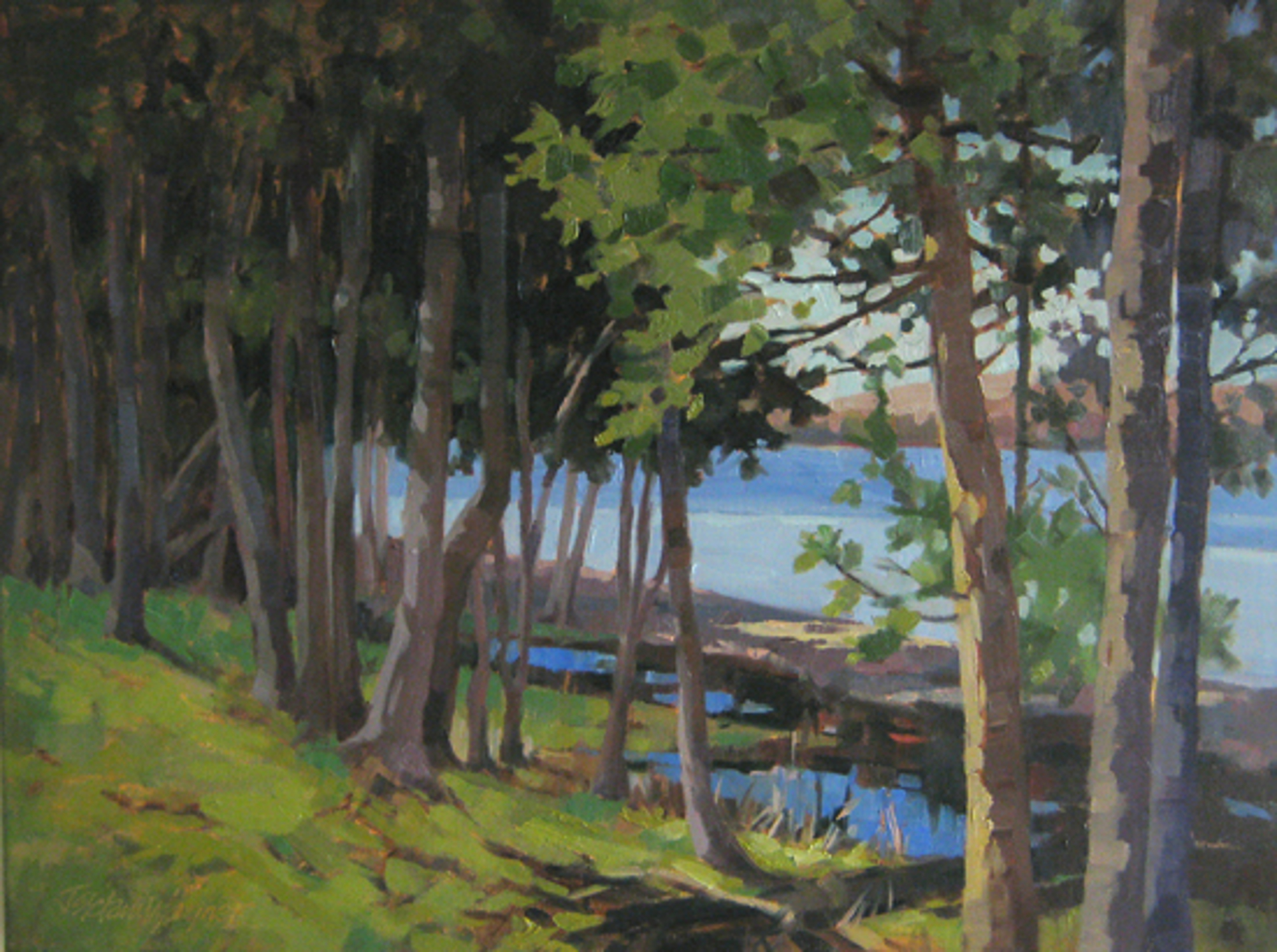 Lake Charlevoix Trees by Jill Stefani Wagner PSA-MP IAPS/MC