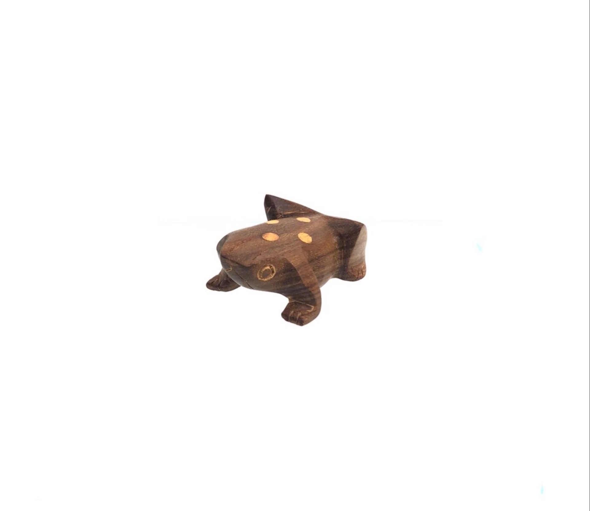 Small Frog by Steven G. Febres-Cordero