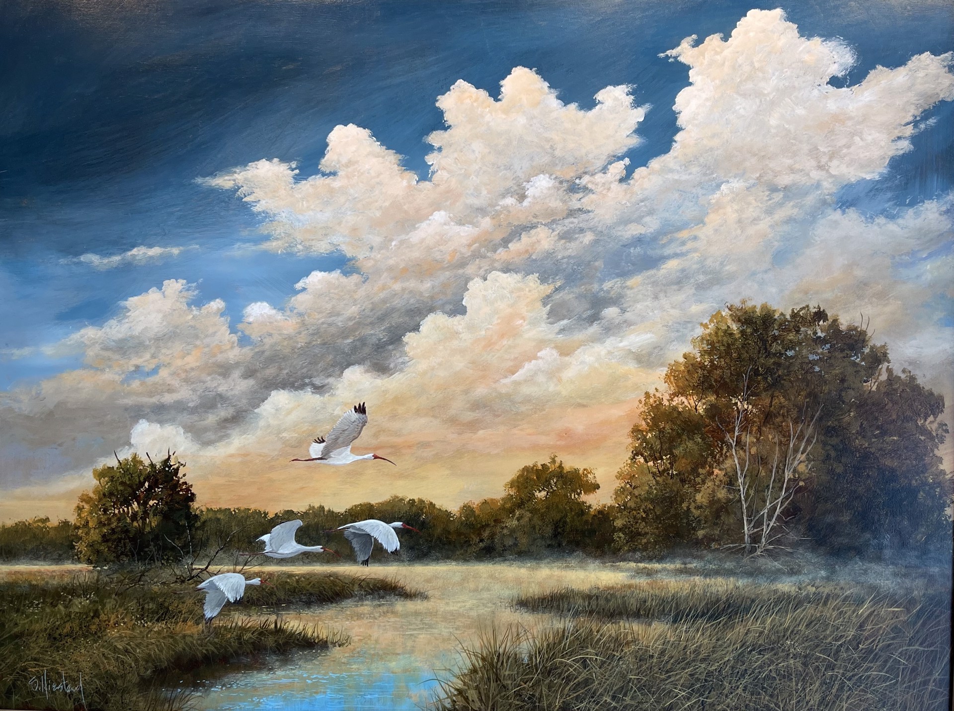 Ibis Over the Marsh - SOLD by Scott Hiestand