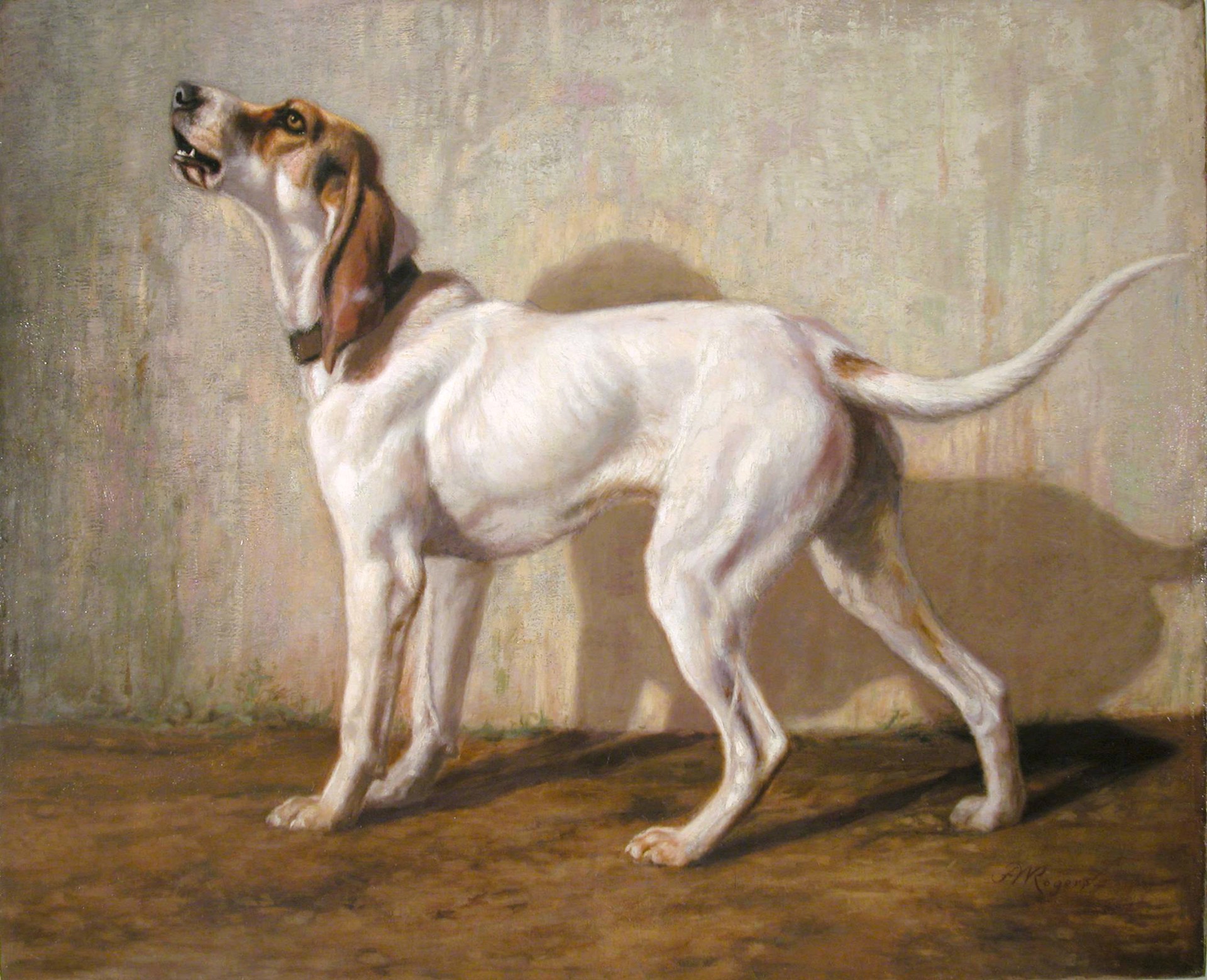 Portrait of a Hound by Franklin Whiting Rogers