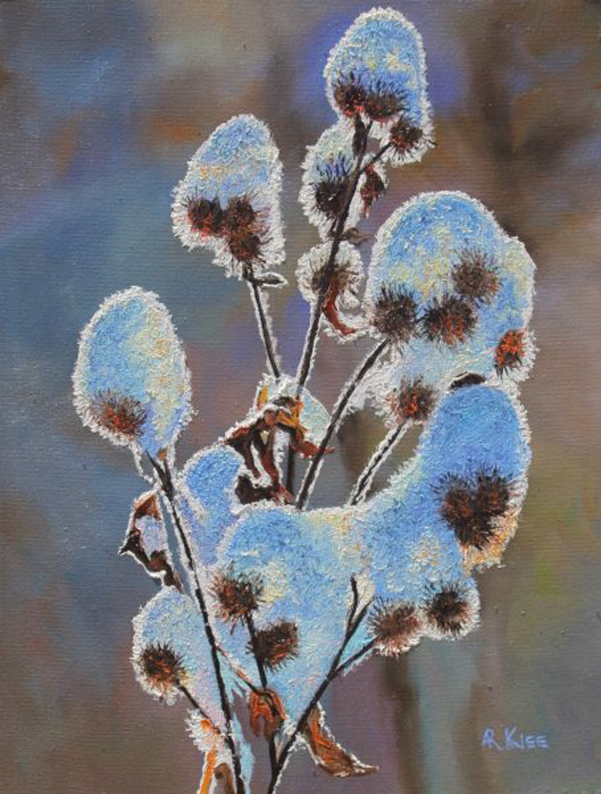 Winter Thistle by ANDREW KISS