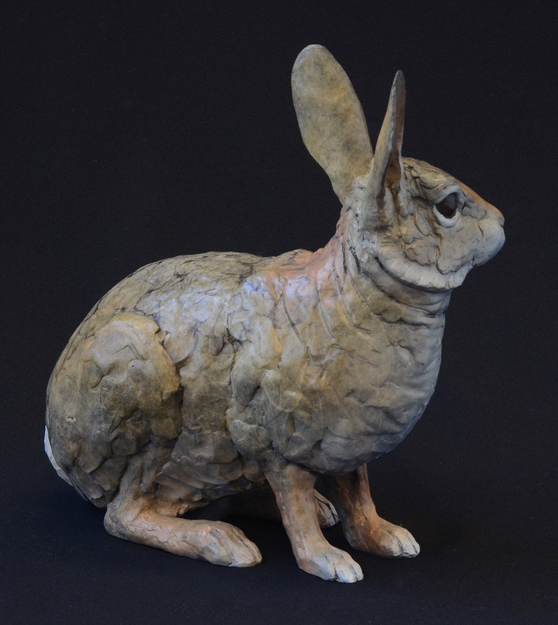 Cottontail II by Jim Eppler