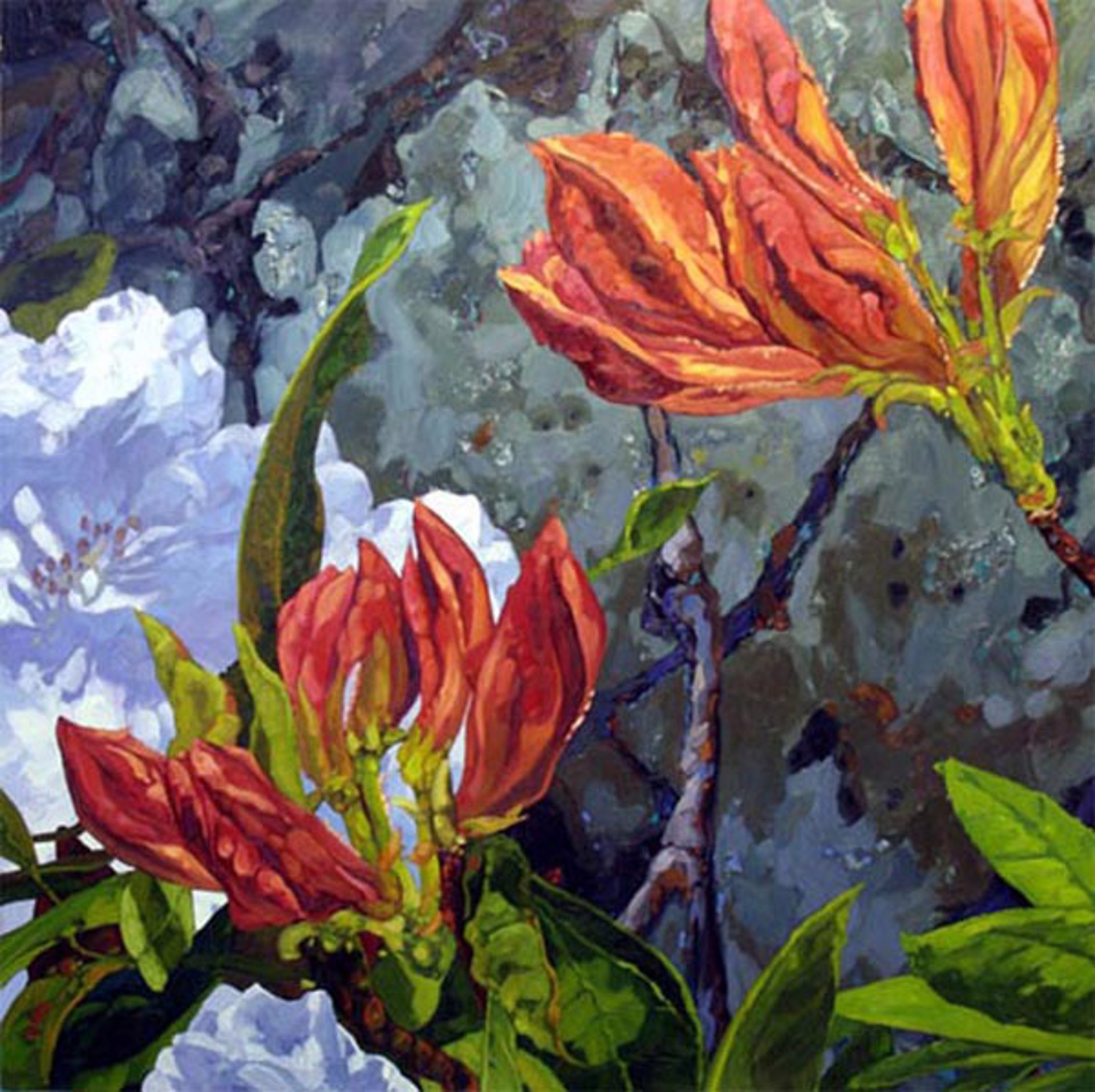 Rhododendrons by Dominik Modlinski