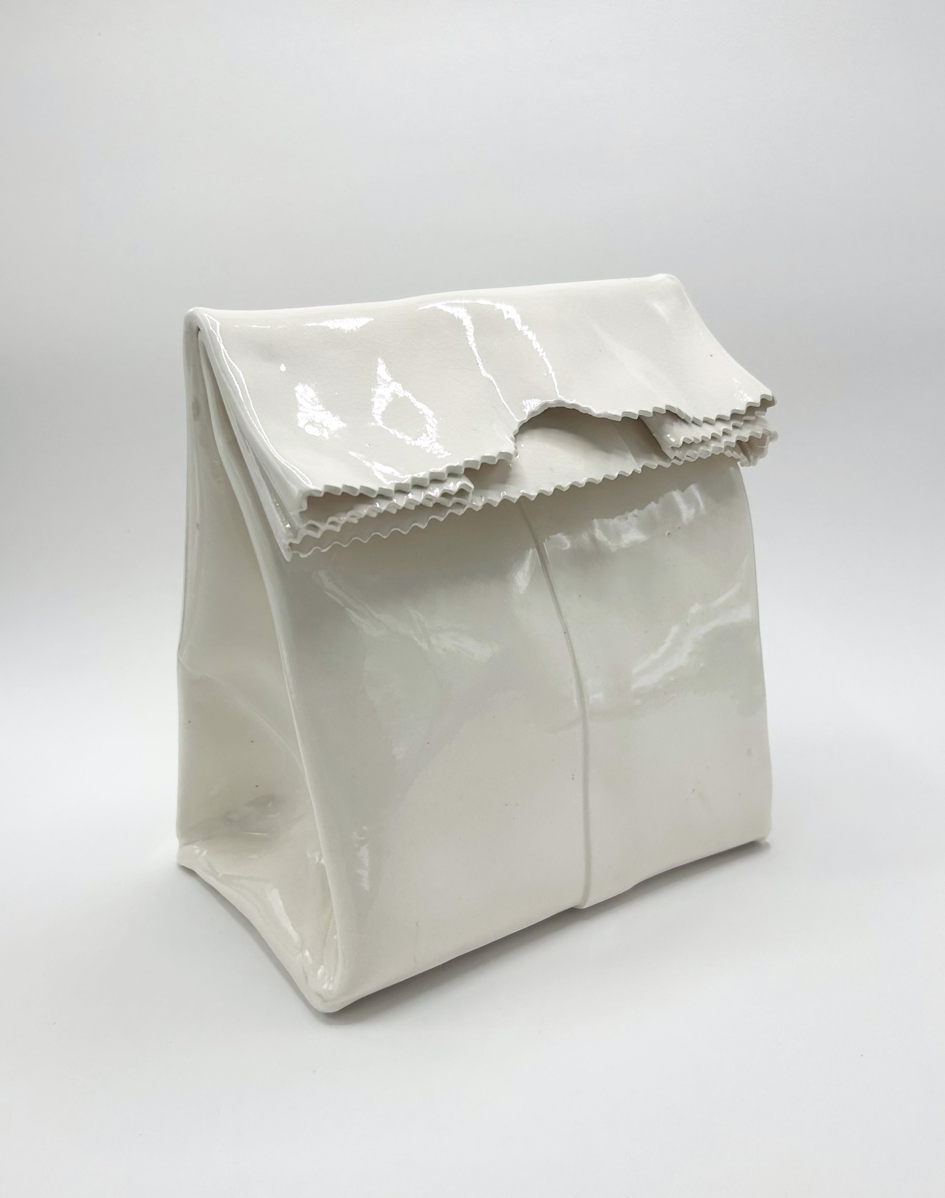 Big, White Bag by Chandra Beadleston