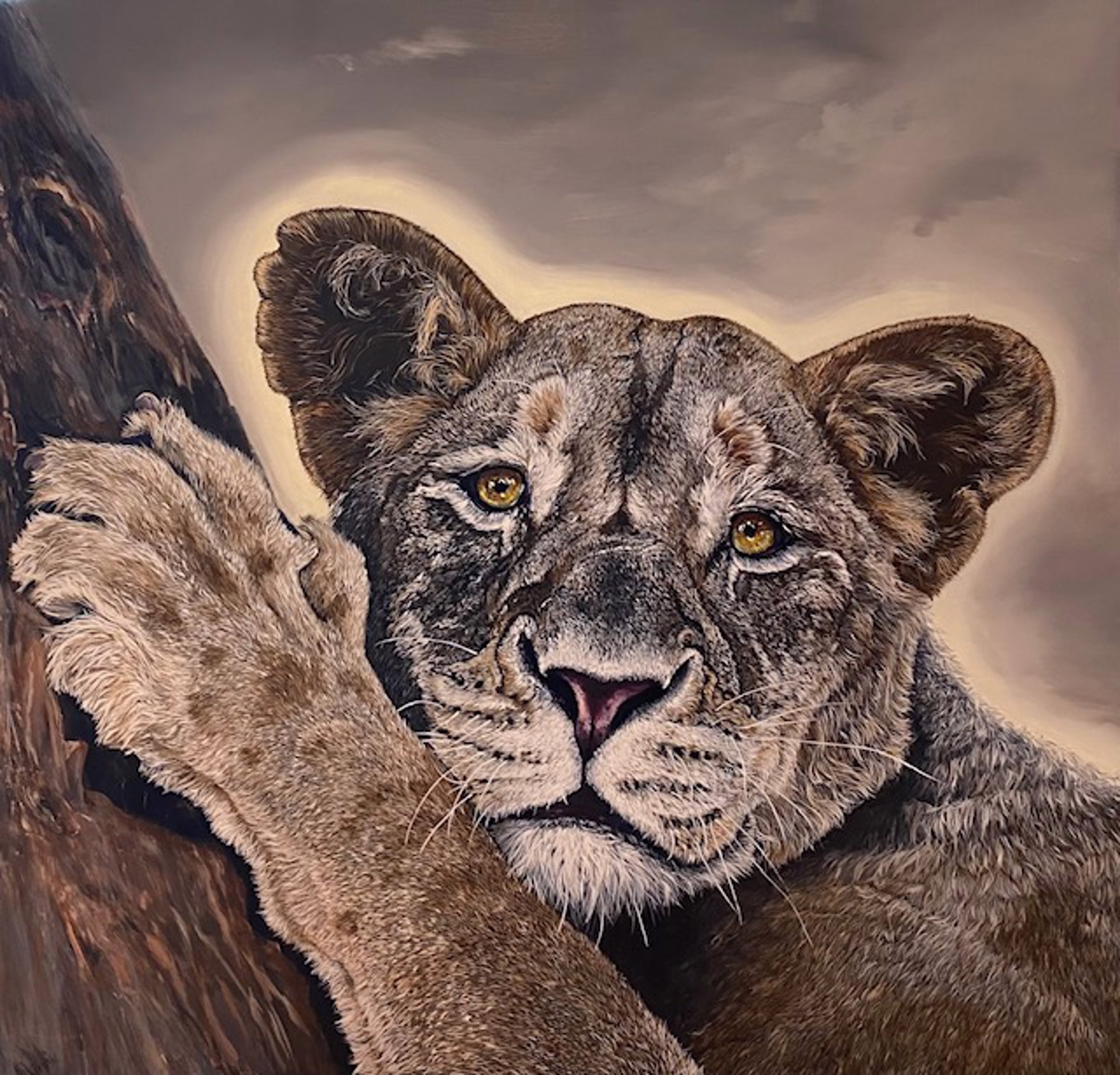 Lioness by Doreen Ingebrigtsen