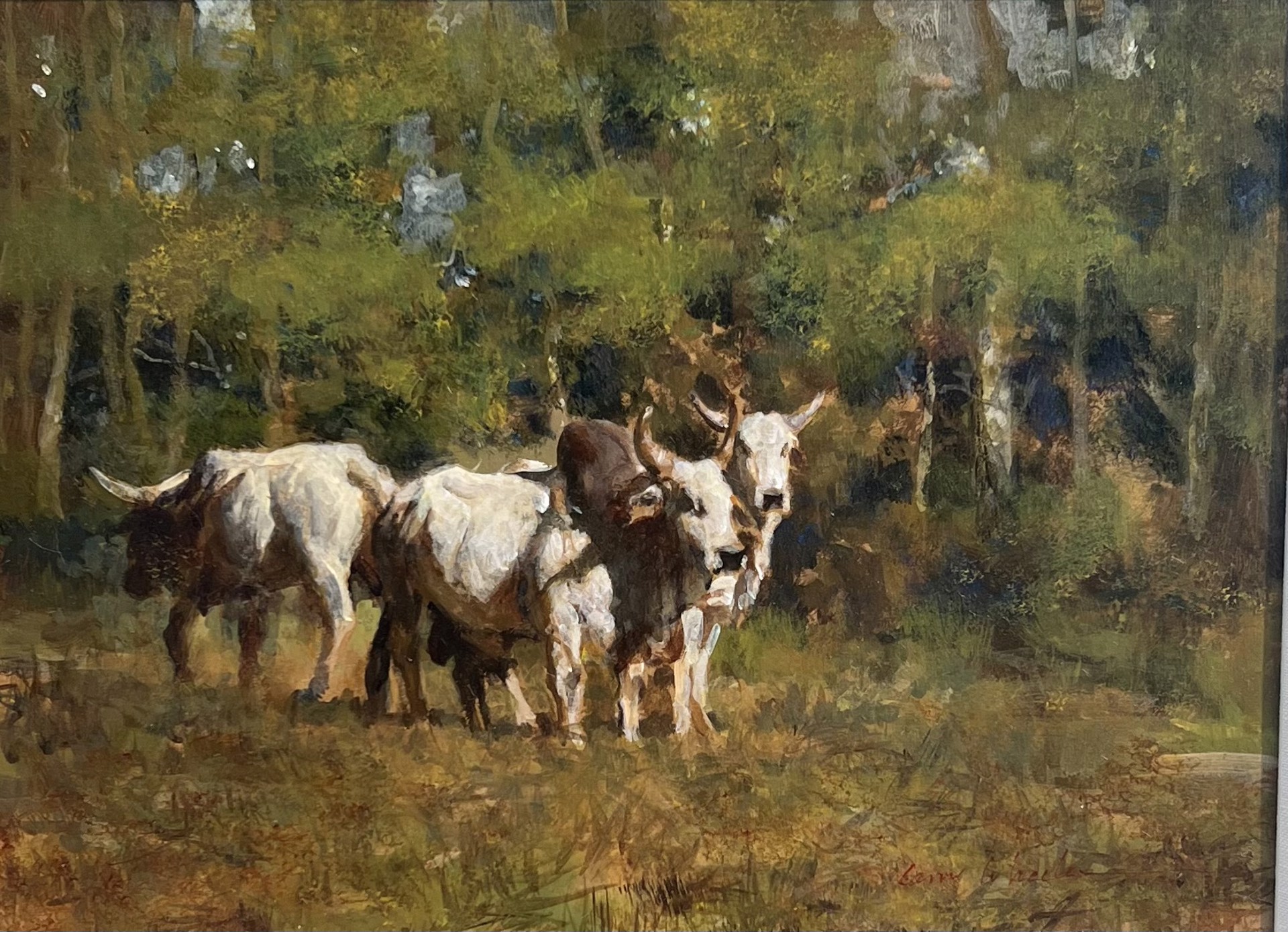 Steers in pasture by Larry Wheeler