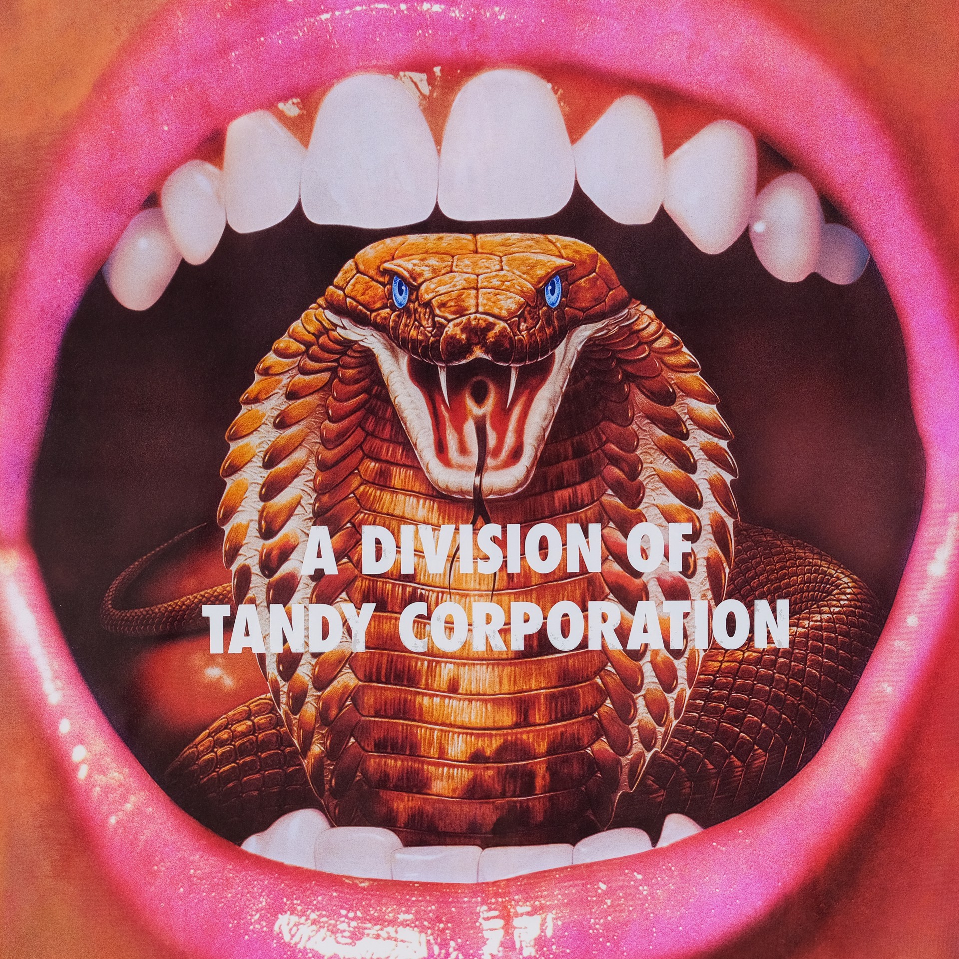 A Division of Tandy Corporation by Reed Weily