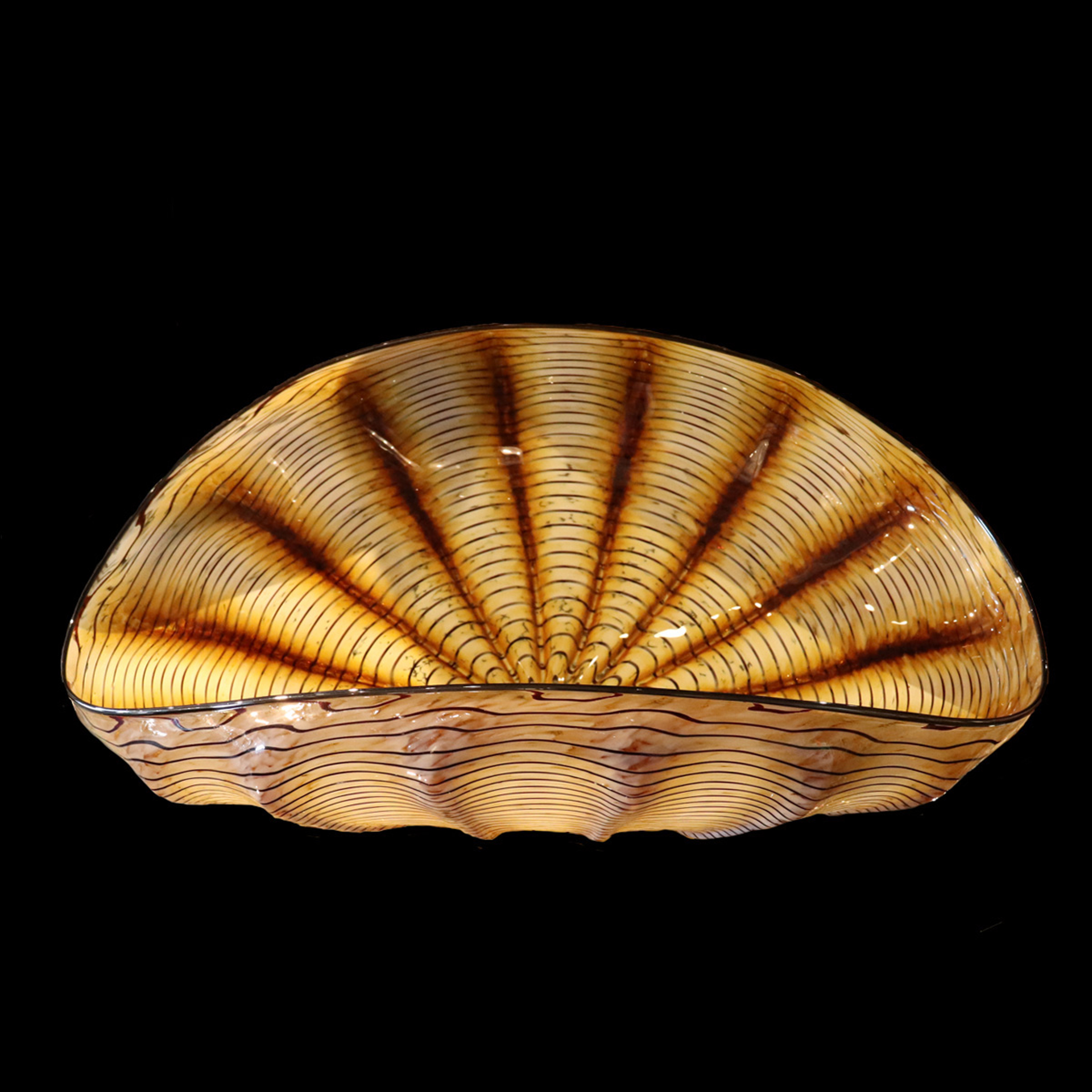 Clam Shell Large by Cliff Goodman