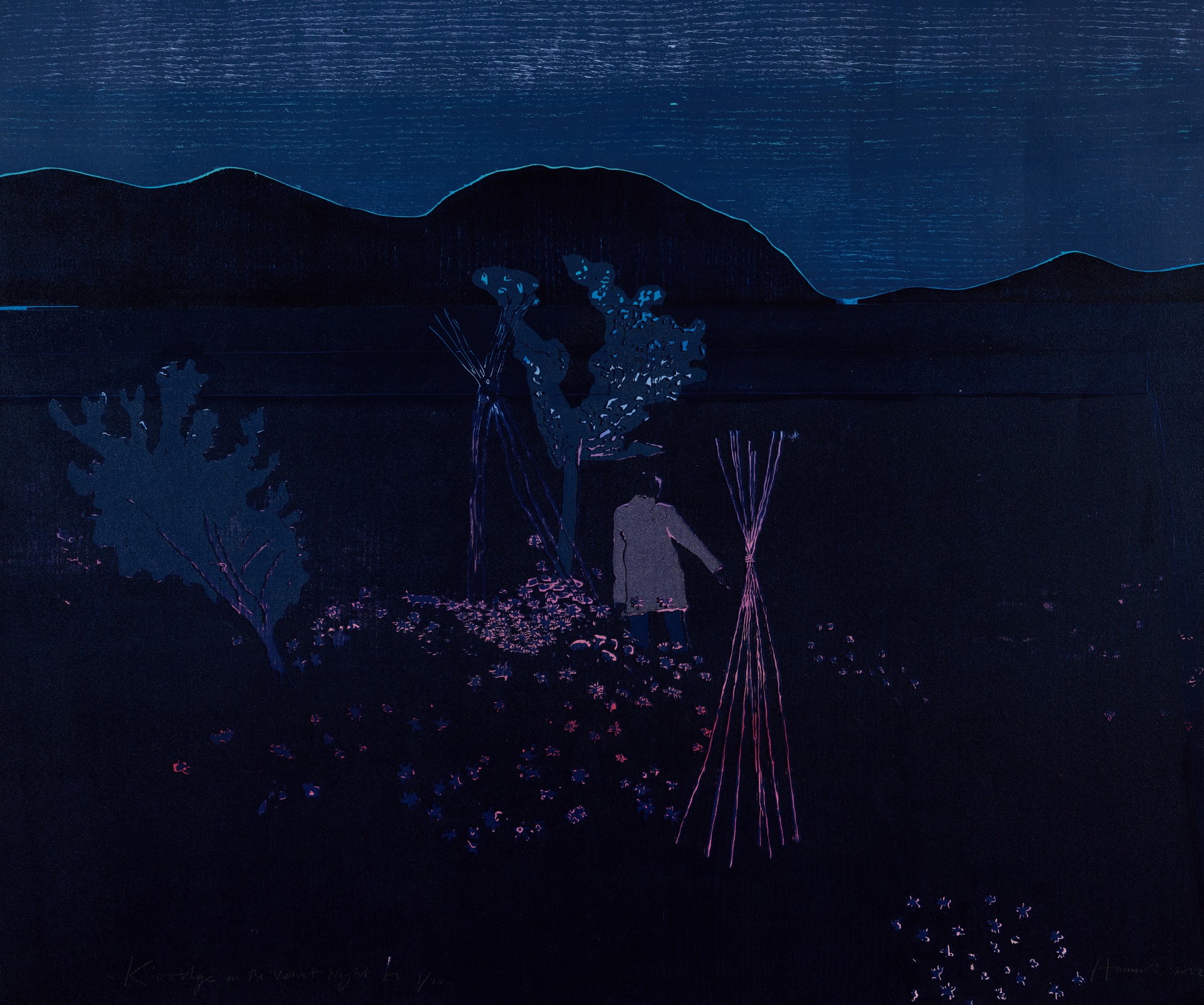 Kooge in the Velvet Night by Tom Hammick