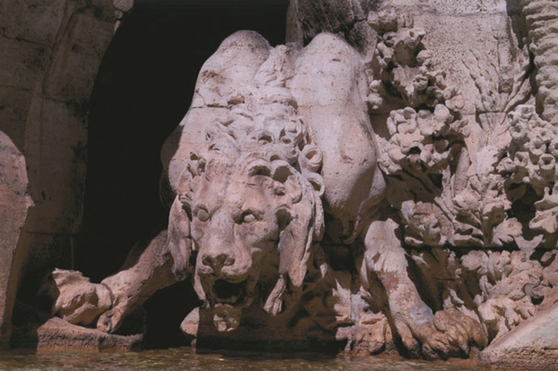 Bernini's Lion, Piazza Navona, Italy by Murray Weiss