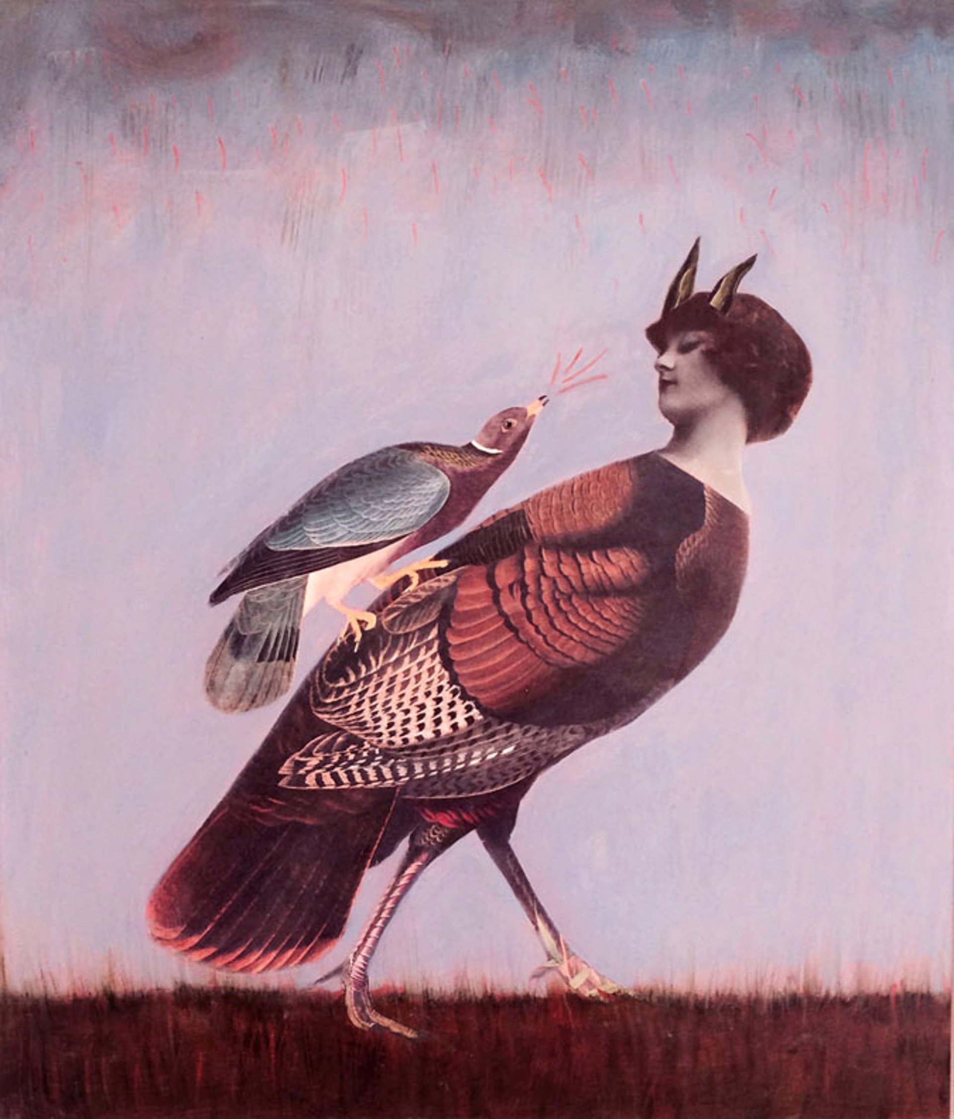 Wild Turkey by Suzanne Sbarge