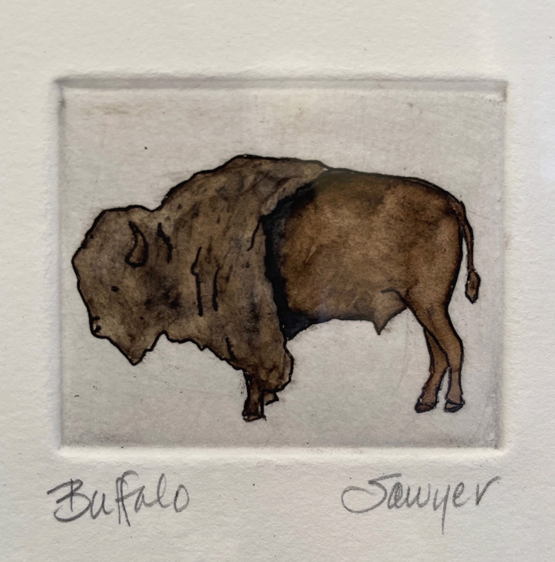 Buffalo (unframed) by Anne Sawyer