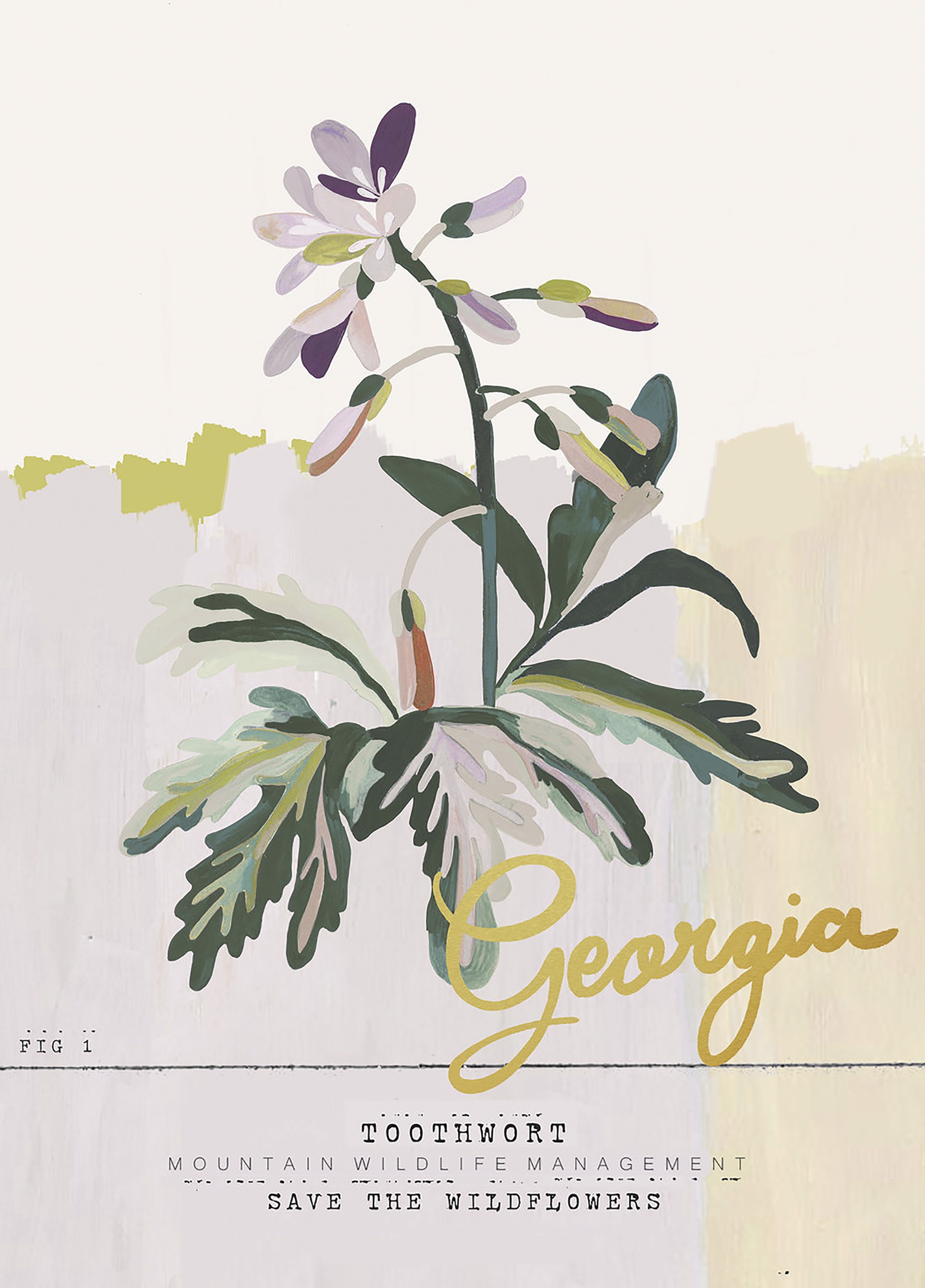 Georgia Toothwort by nikita malik