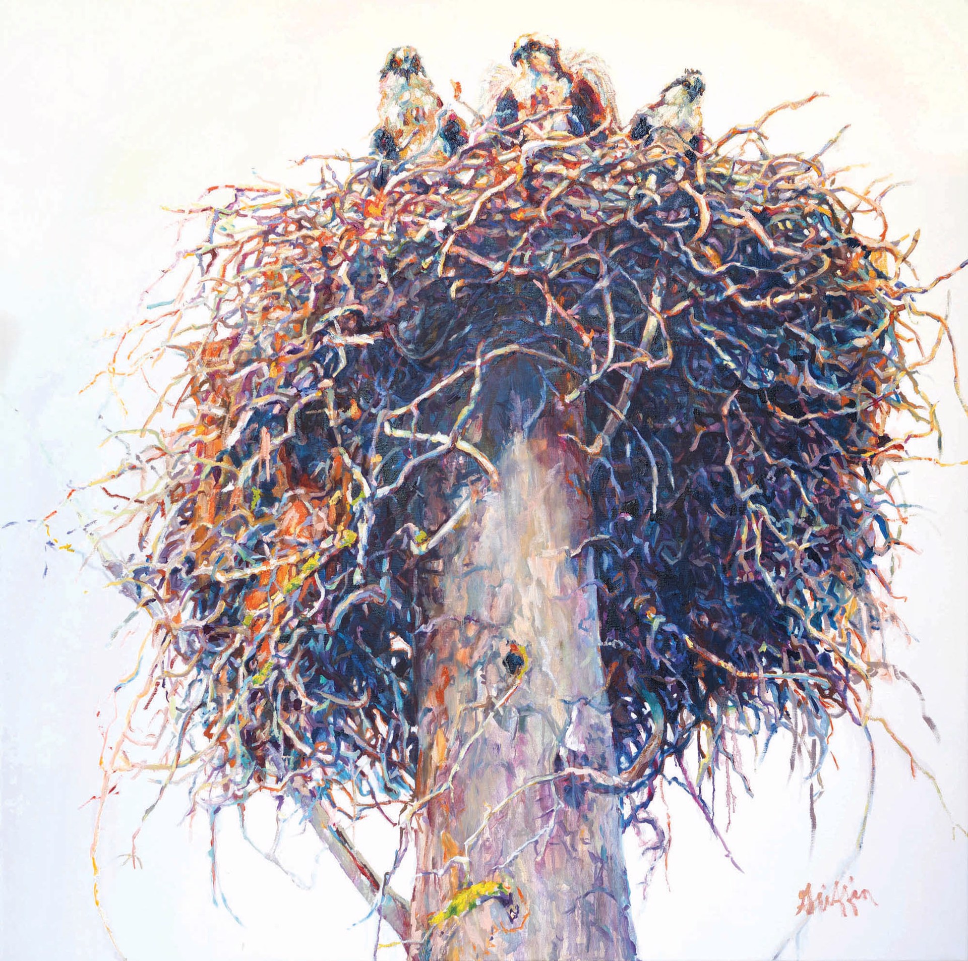 Original Oil Painting Featuring An Osprey Nest Seen From Below Over White Background