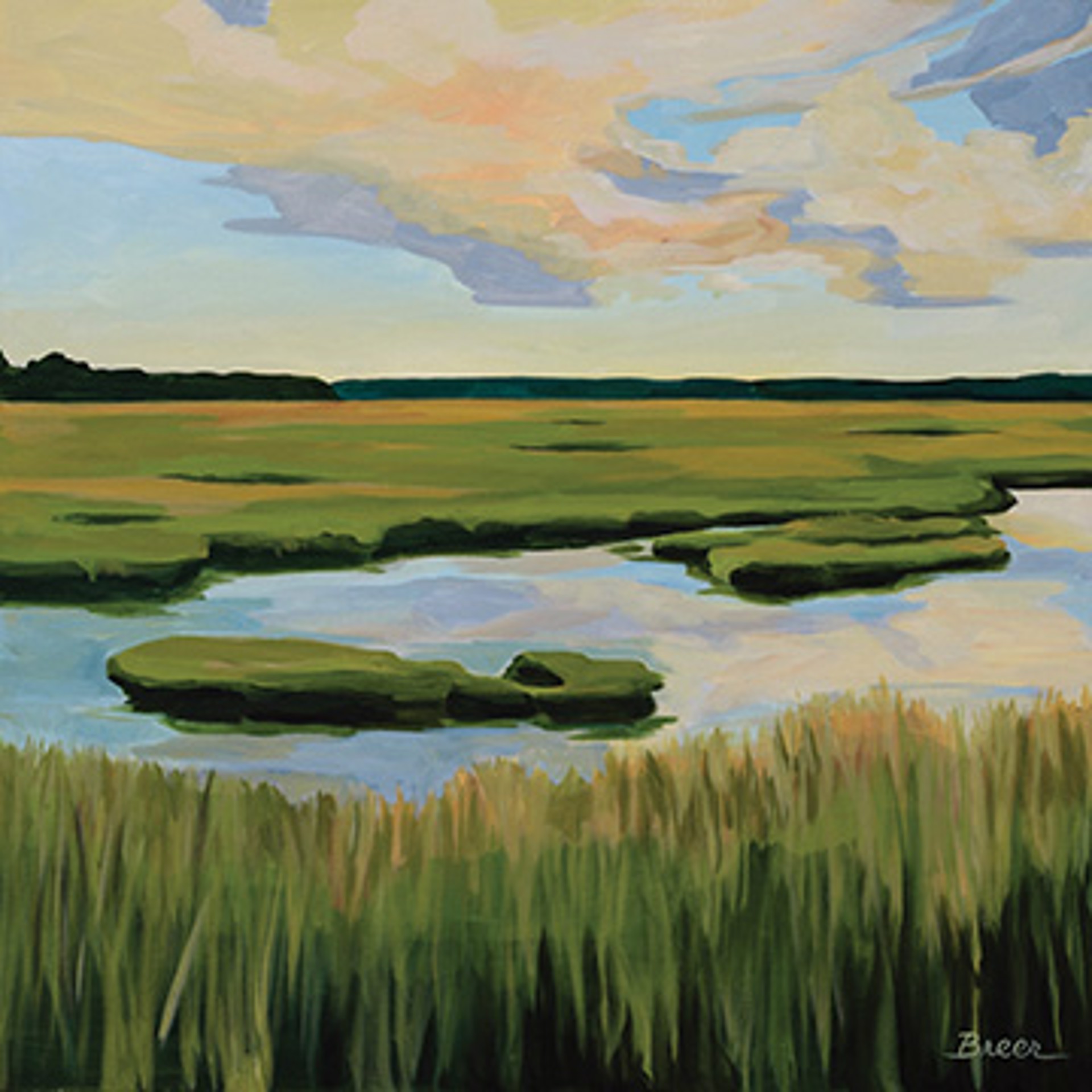 Scarborough Marsh by Catherine Breer