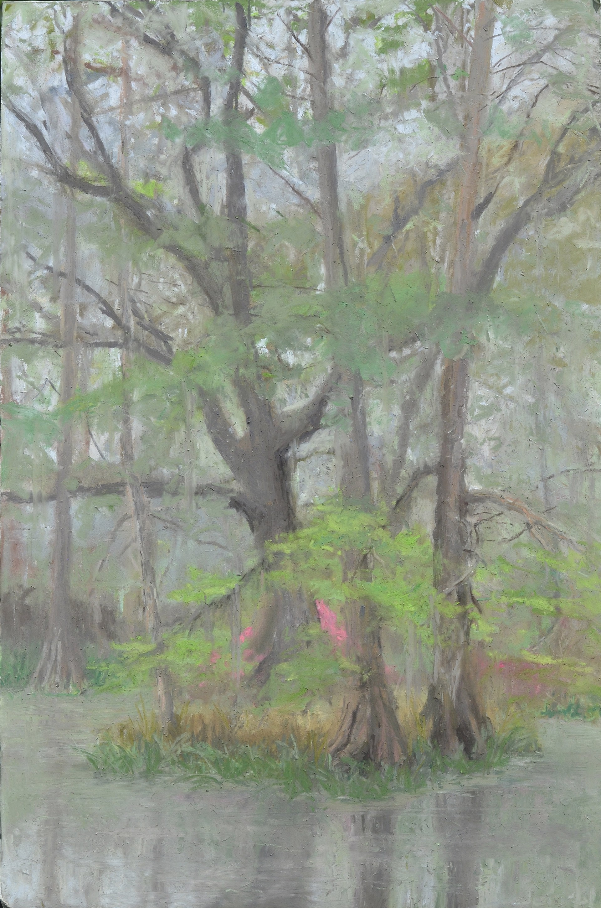 Cypress and Fog by Mary Monk