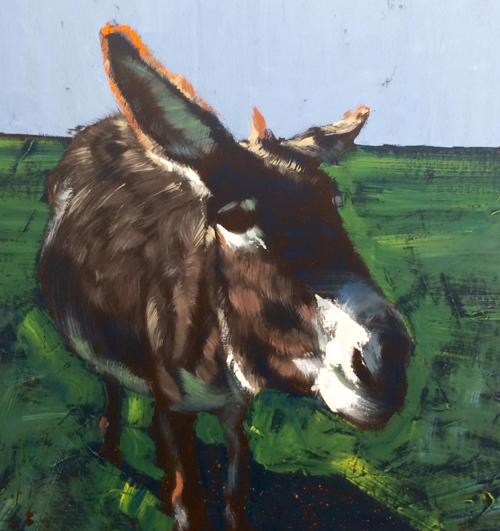 Donkey On Grass by Josh Brown