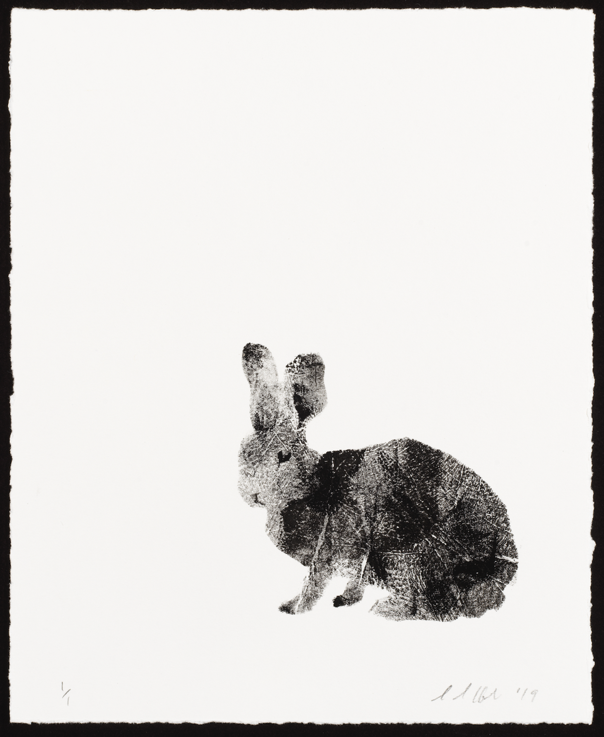 Rabbit #4 by Susan Hall