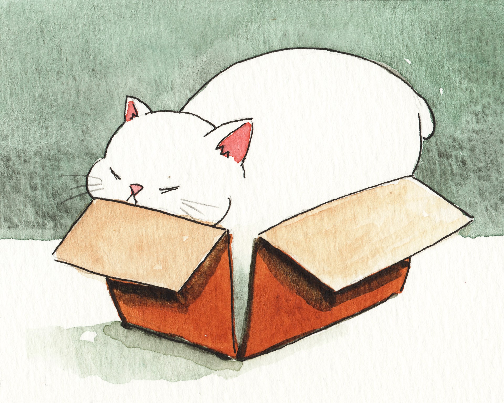 Box Kitty by Liese Chavez
