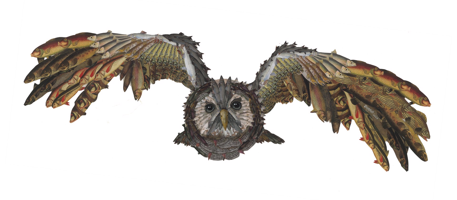 Flying Owl I by Brenda Bogart
