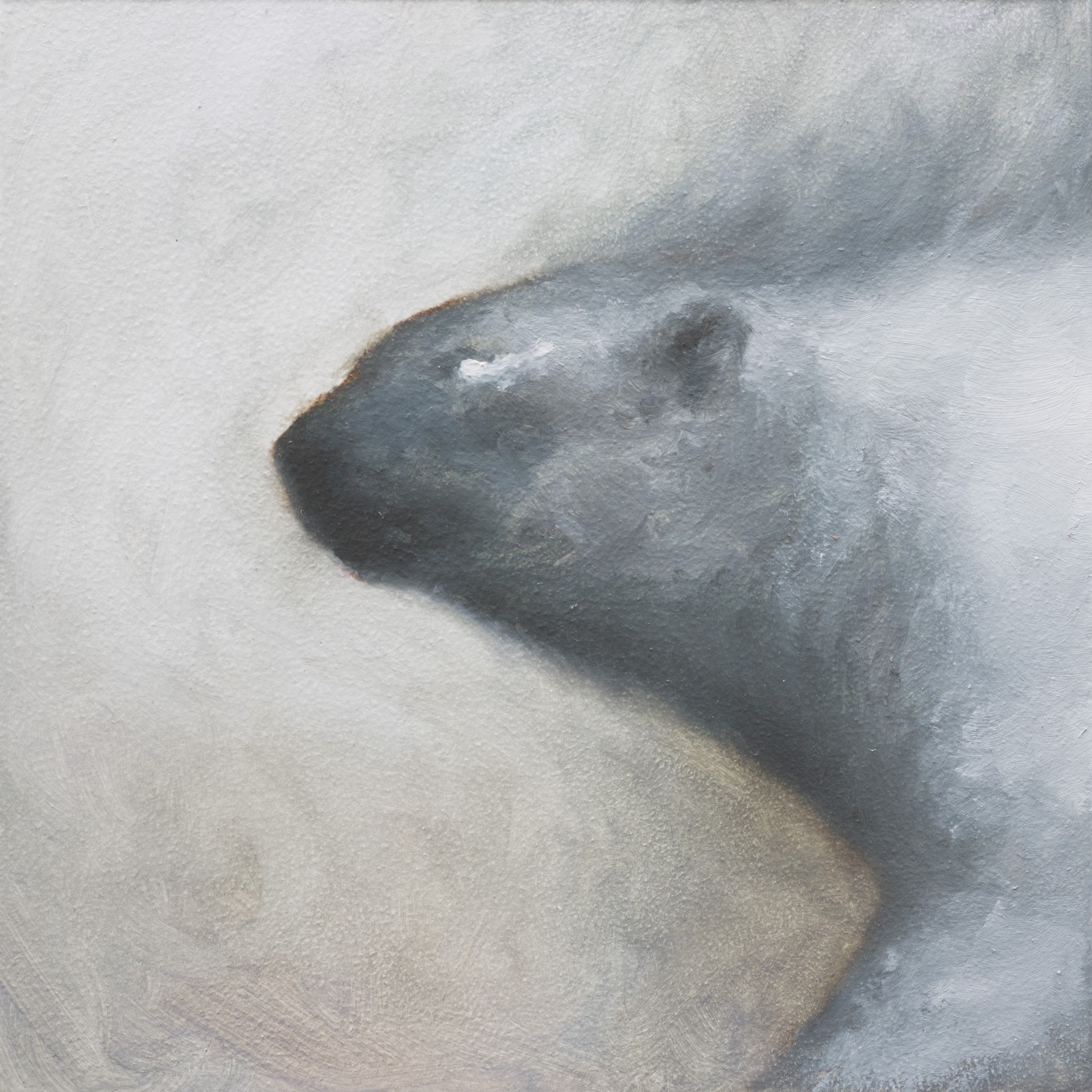 Smokey Polar by Cody Jimenez