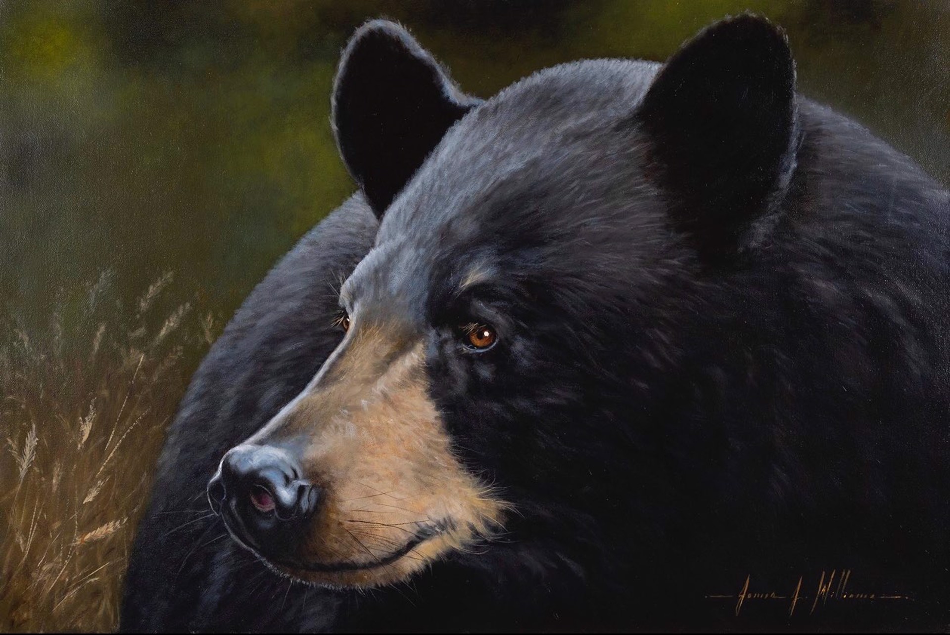 Harmony Bear by James J. Williams