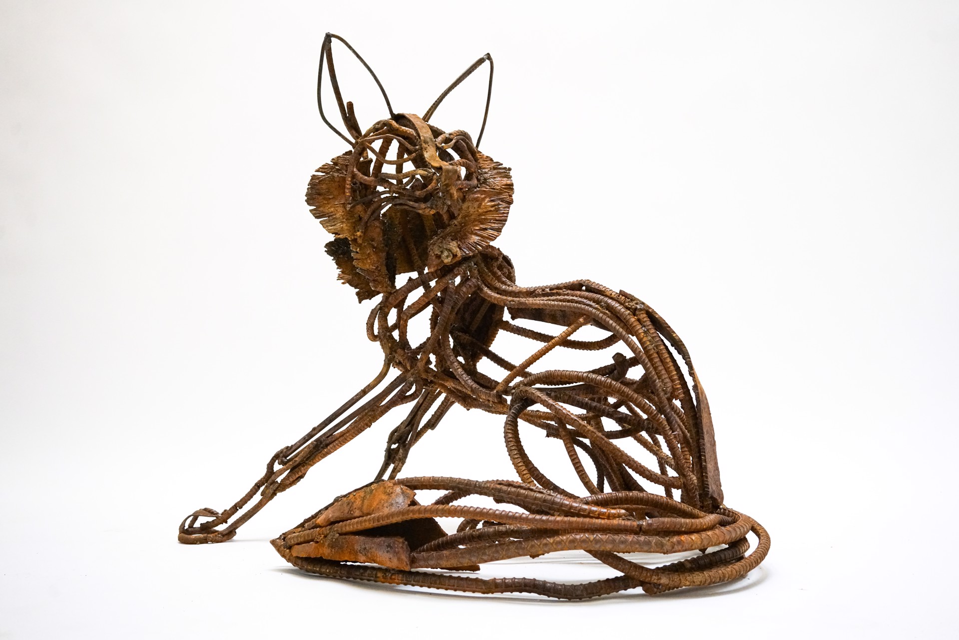 Zorro (Seated Fox Turning) by Wendy Klemperer