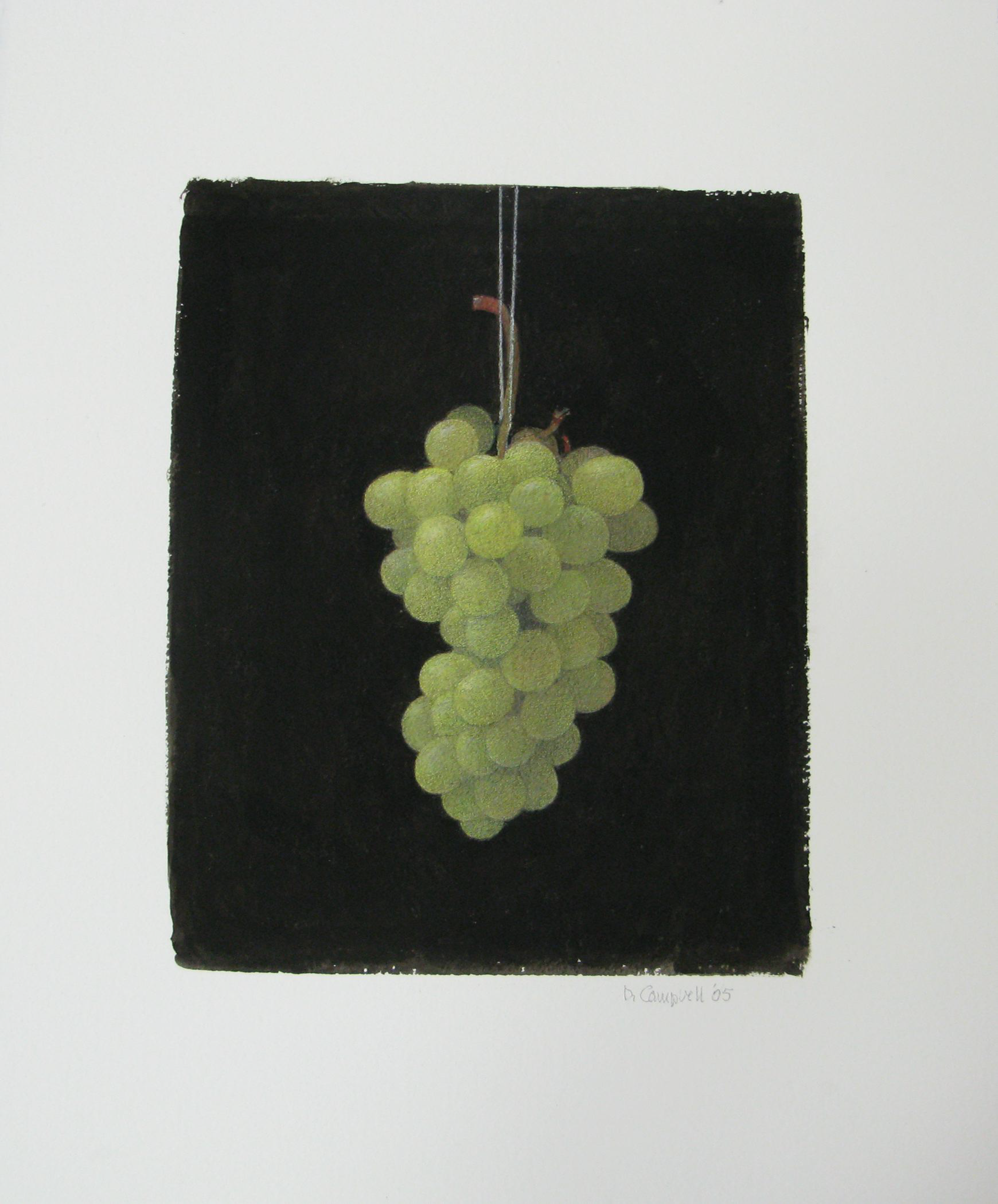 Untitled (Suspended Grapes) by Donald Campbell