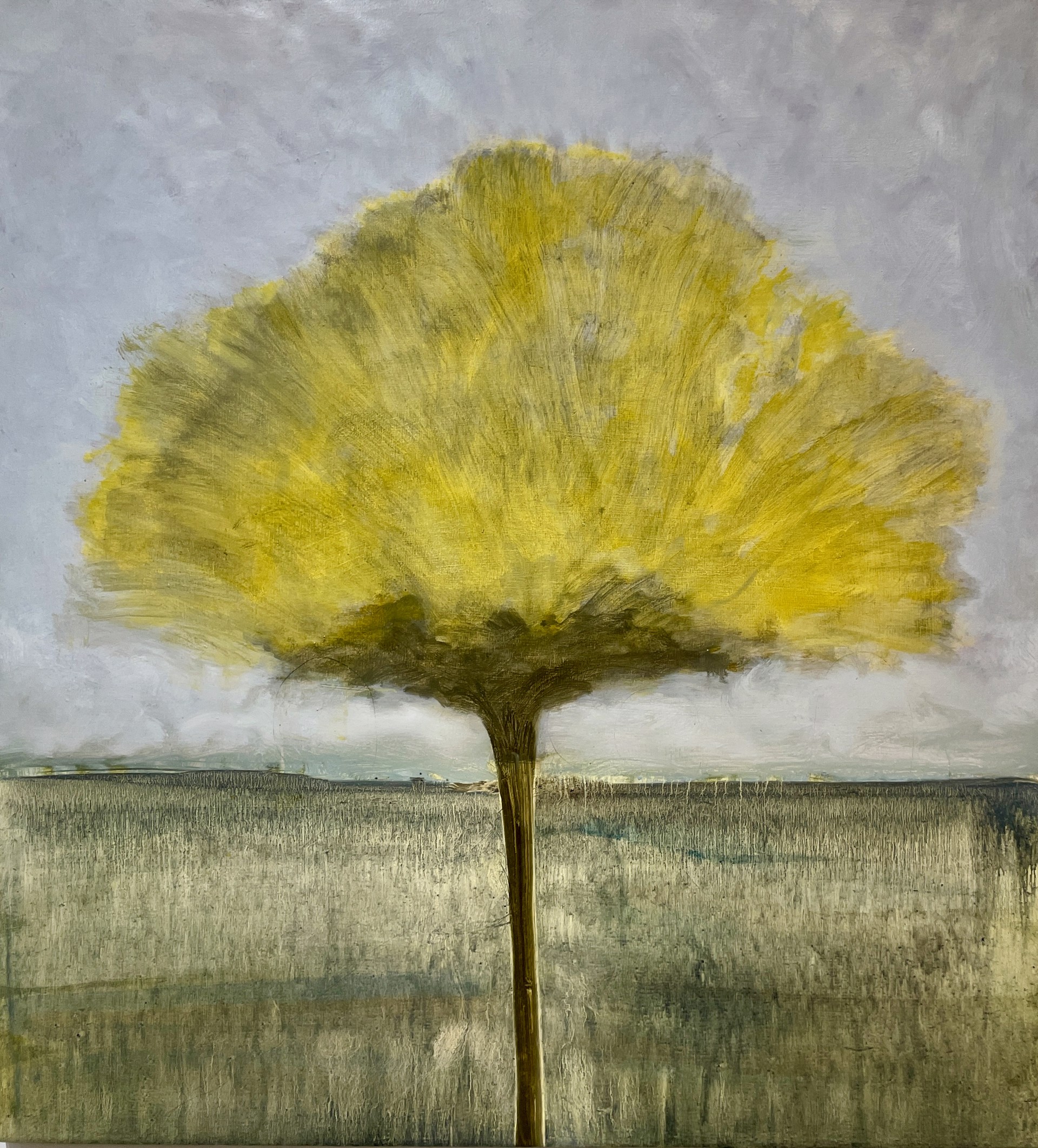 Seedhead (Yellow) by David Konigsberg