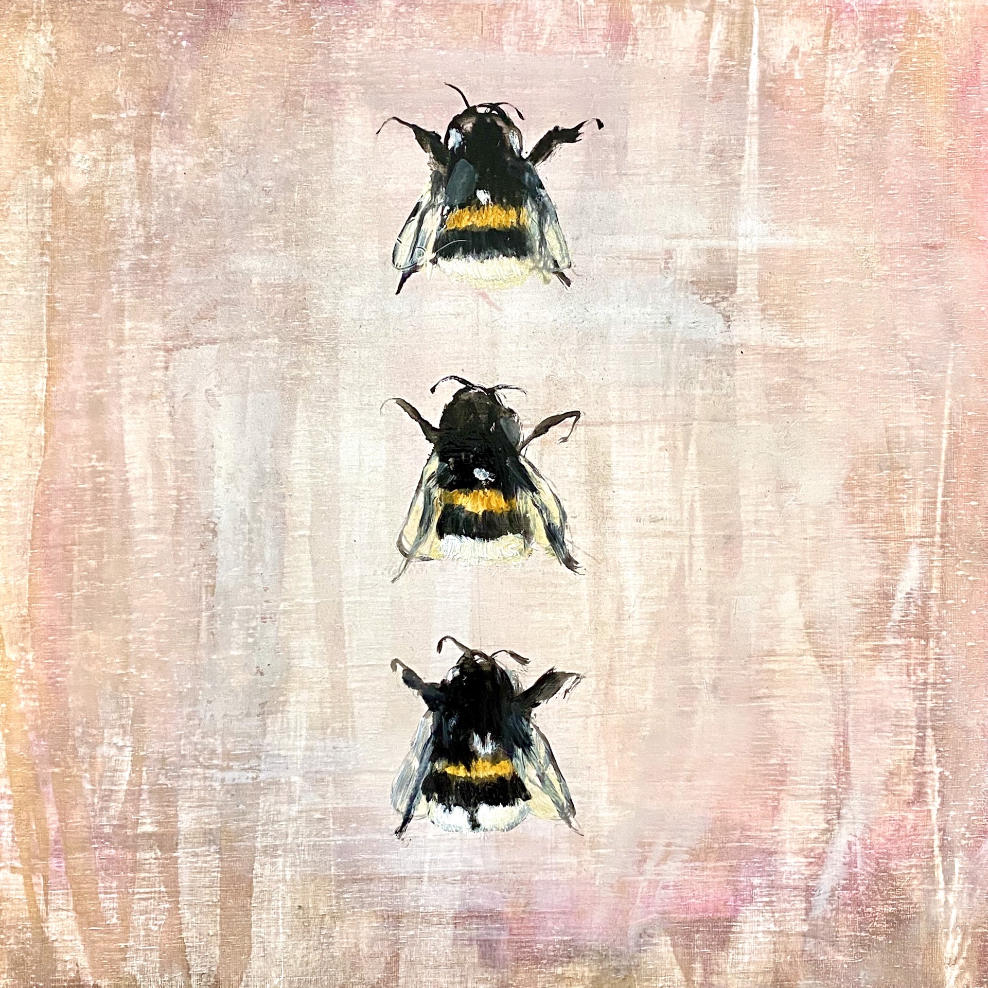 A Contemporary Oil Painting Of Three Bumblebees On A Pink Background By Jenna Von Benedikt Available At Gallery Wild