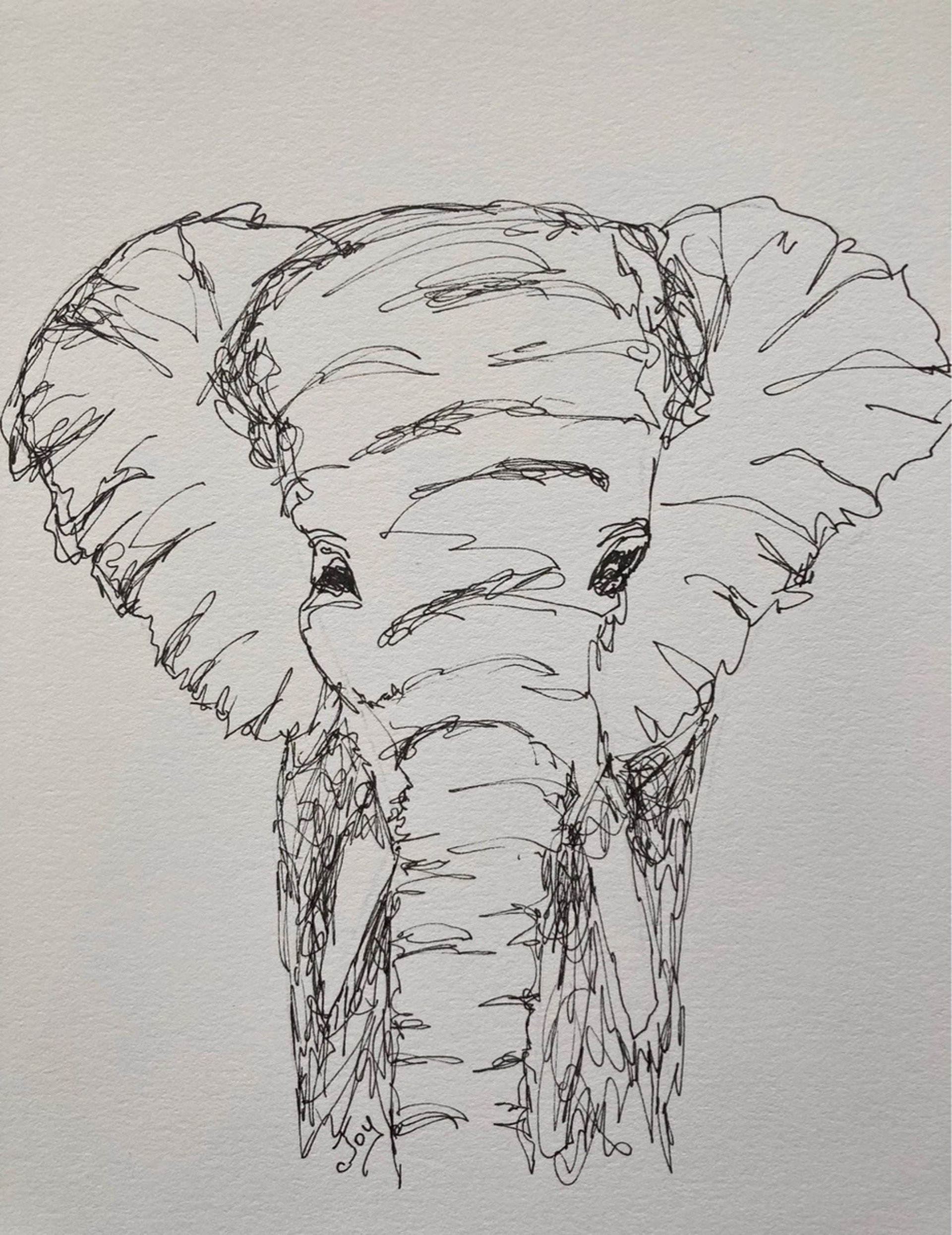 Elephant Sketch by Joy McCallister