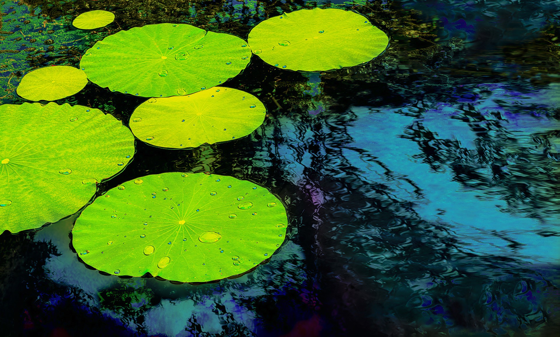 Green Floaters by Bob Petersen