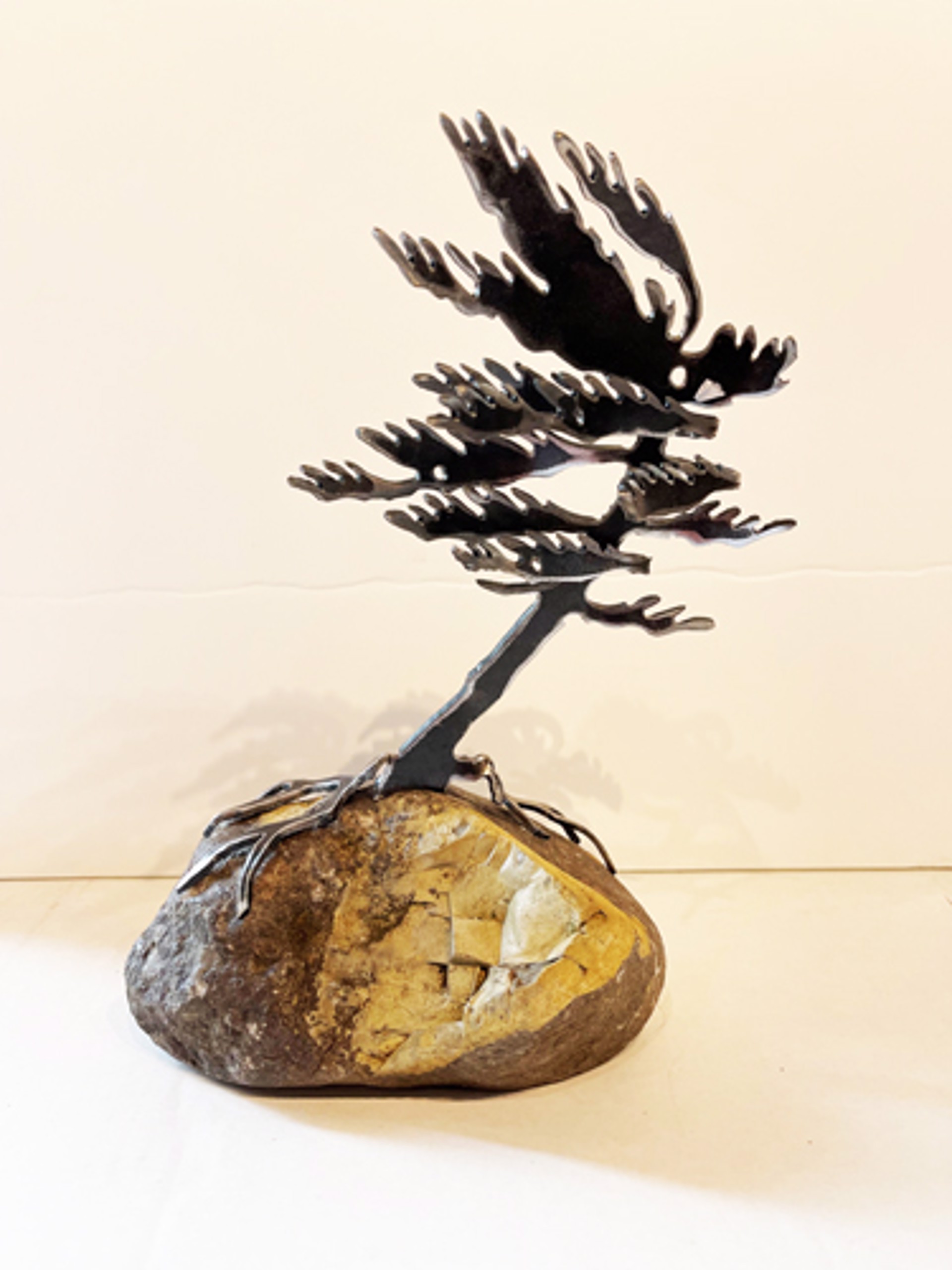 Windswept Pine 659512 by Cathy Mark