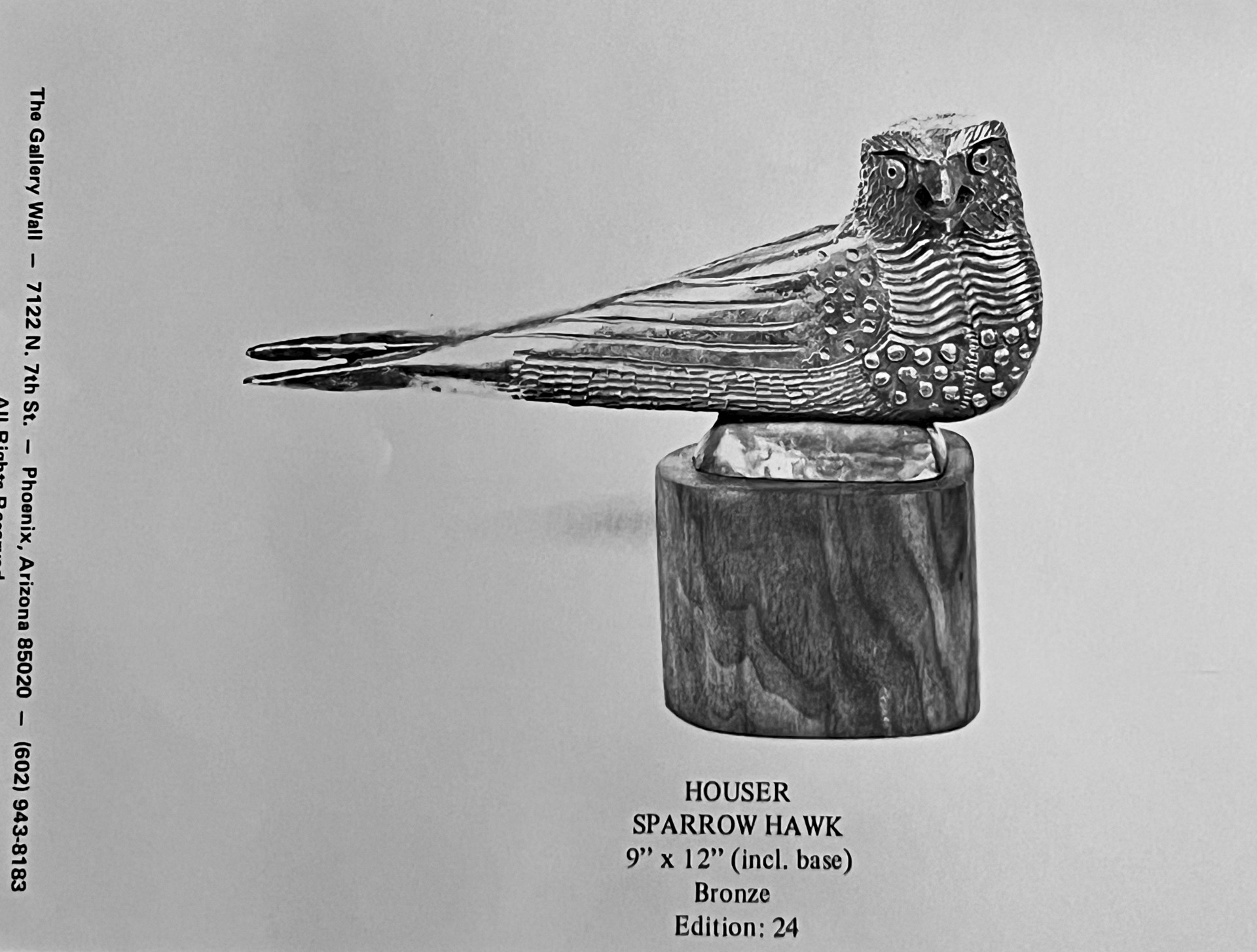 Sparrow Hawk by Allan Houser