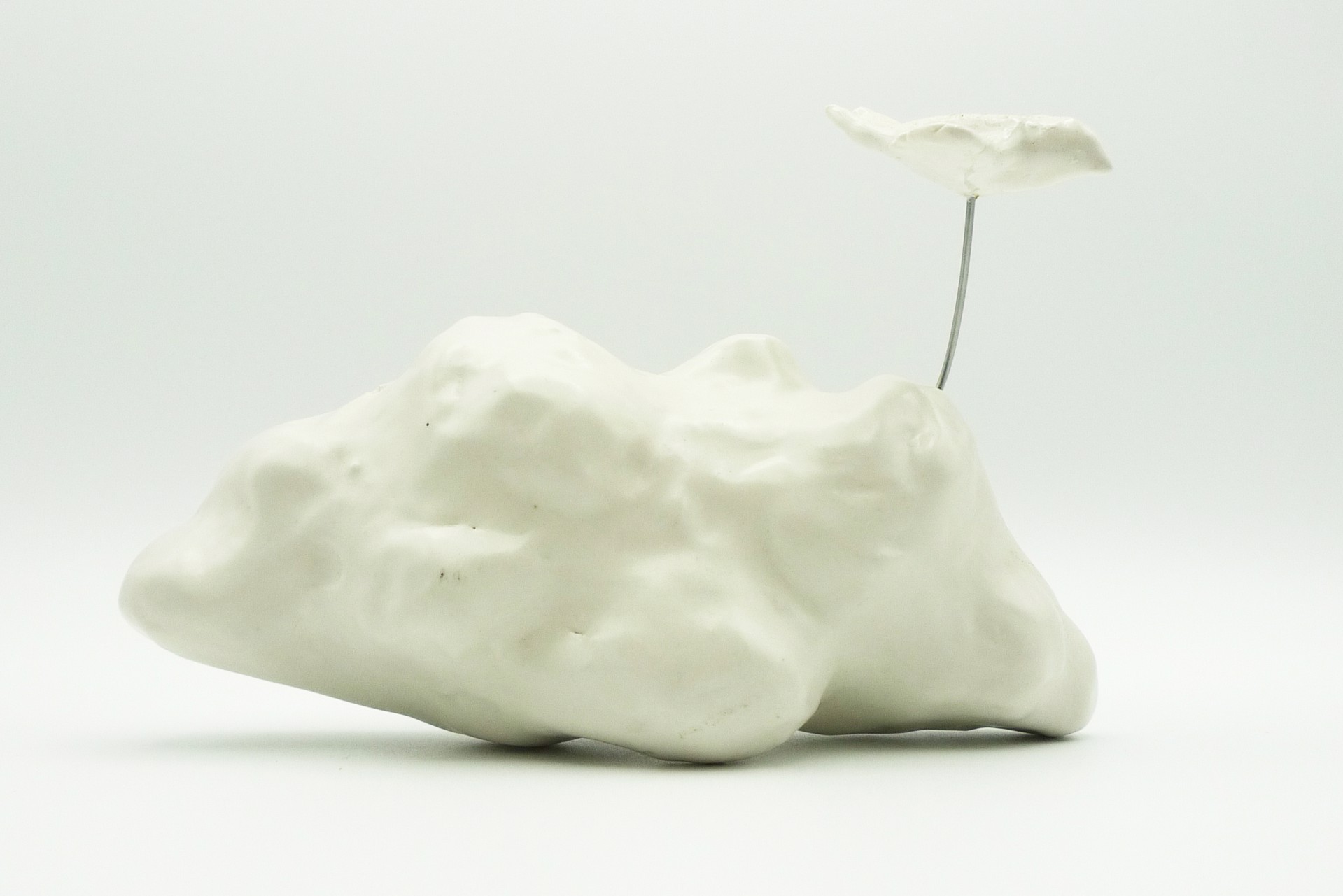 Cloud with White Bird by Debbie Kupinsky