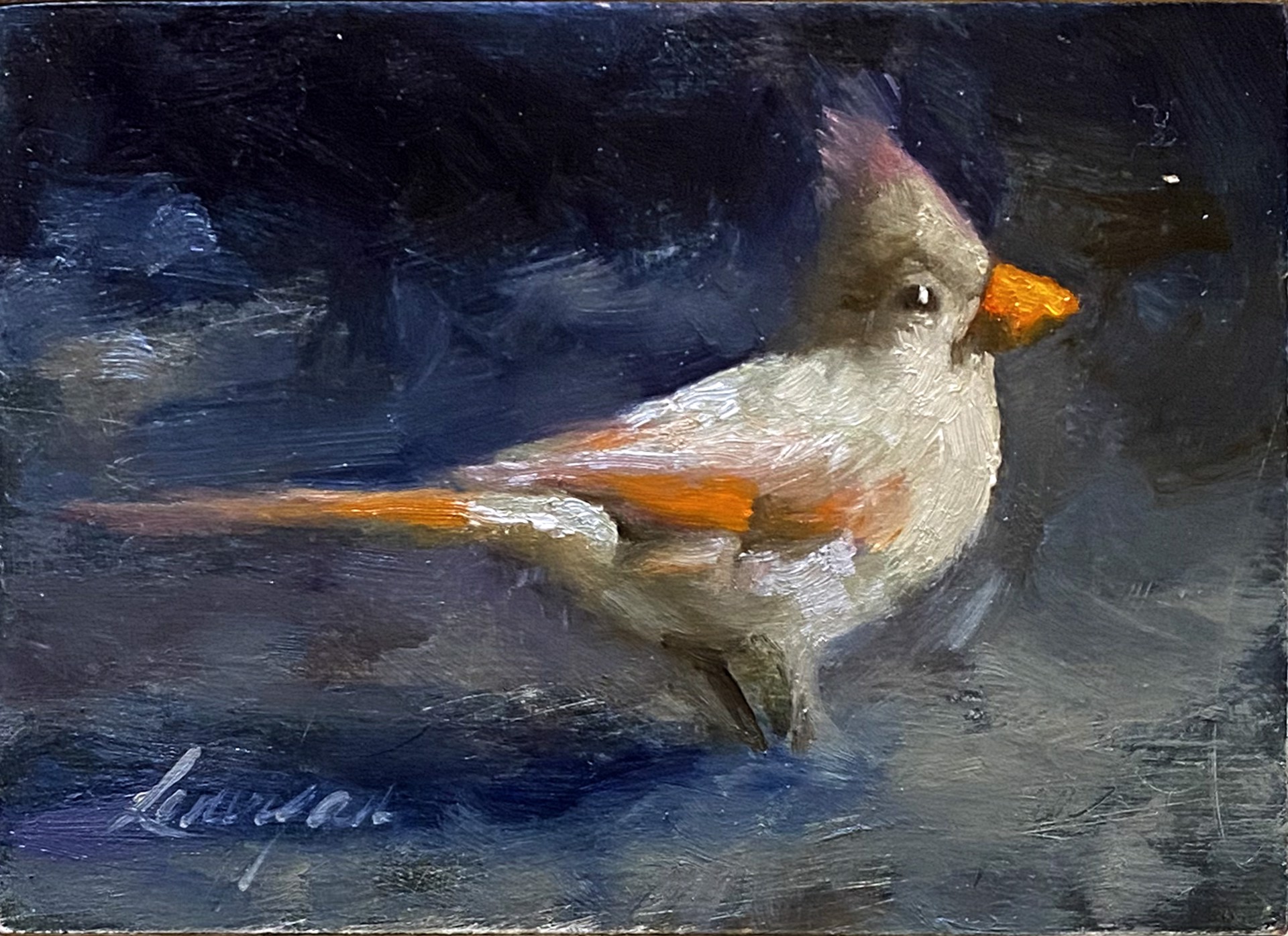 Redbird  by John Lonergan