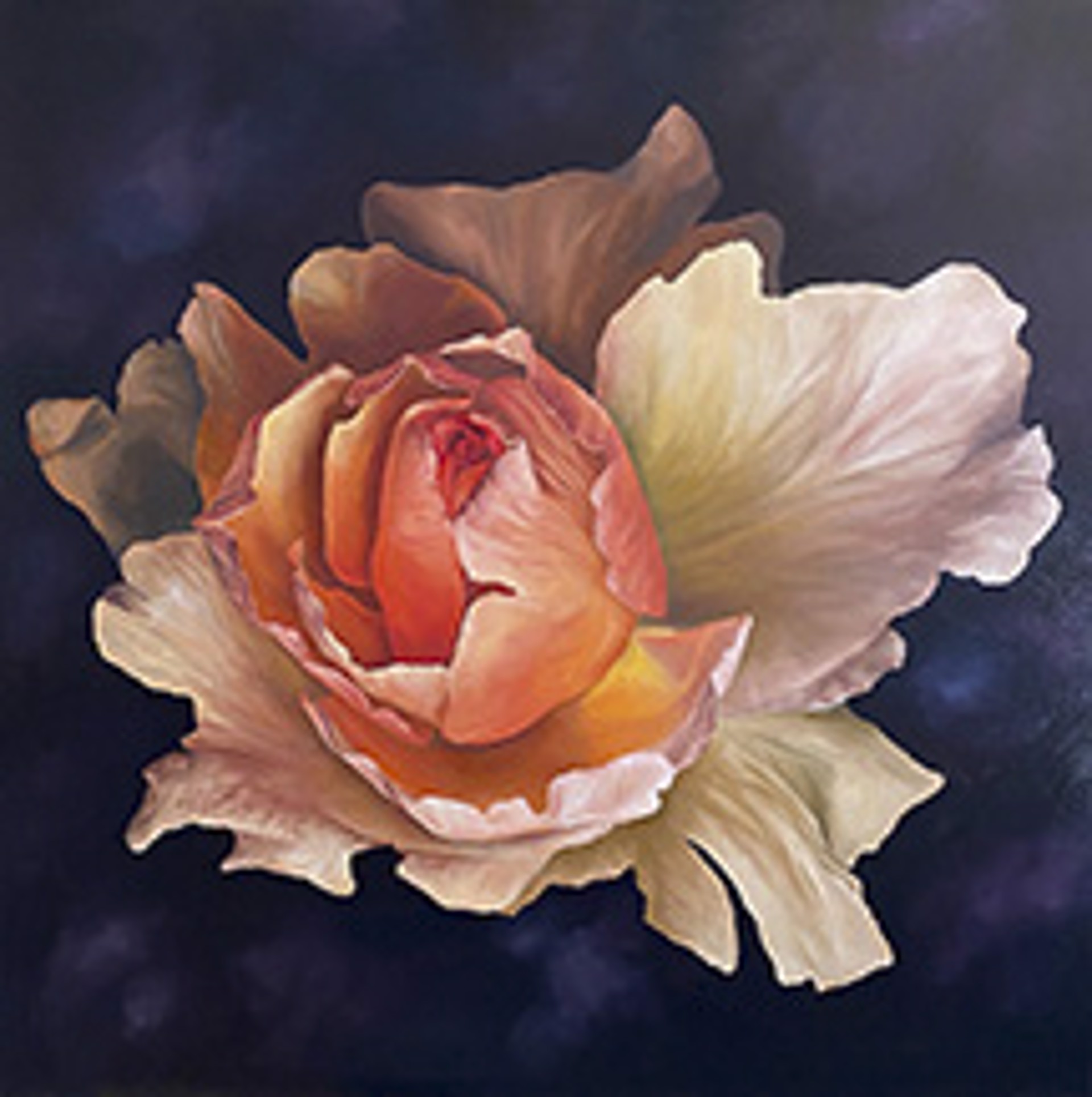 (G)Bloom by Samantha Bednarsky