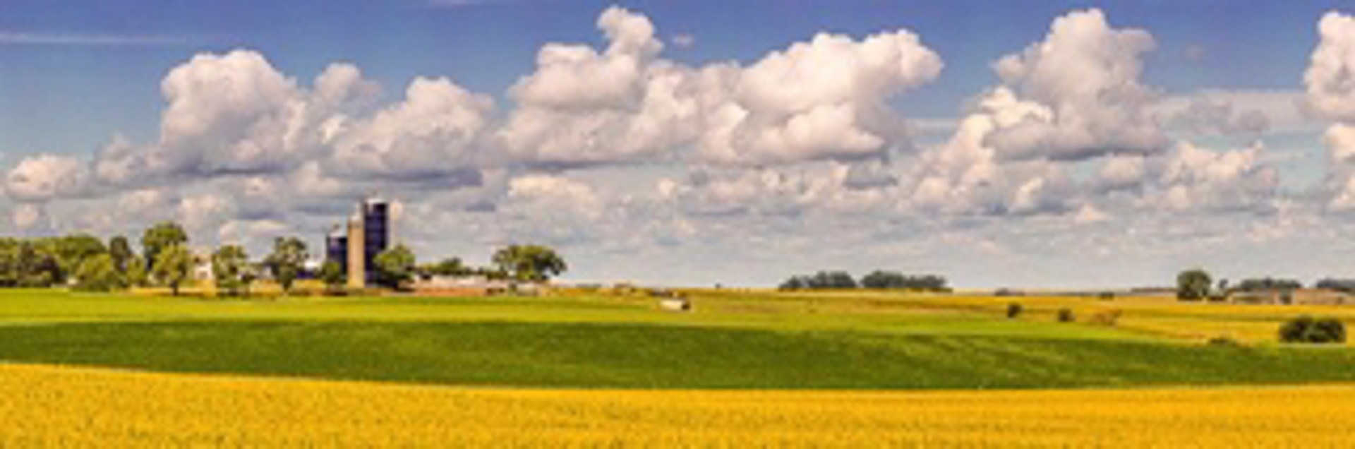 Iowa Farmscape by Justin Rogers