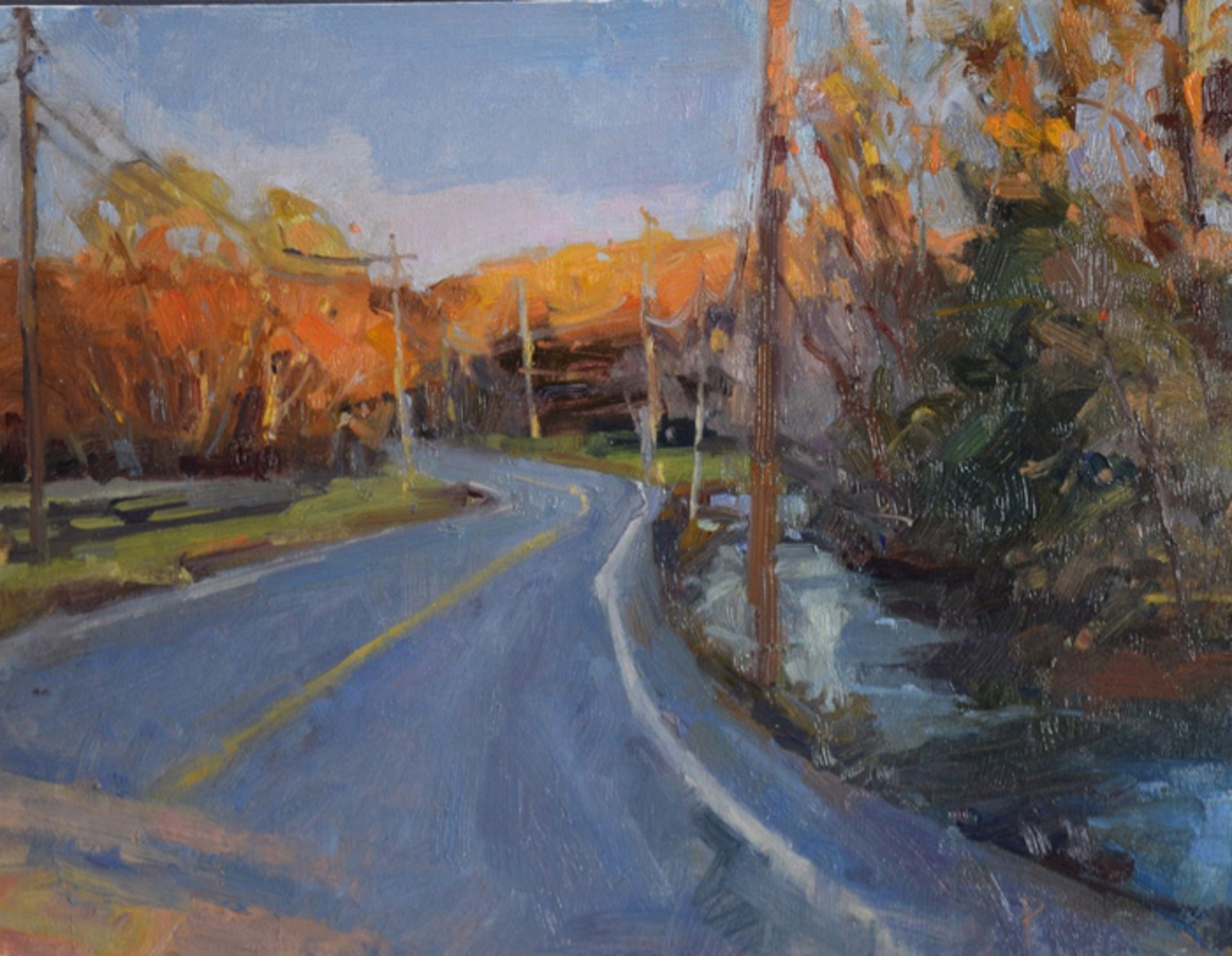 Leiper's Creek Country Drive by Pamela Padgett, AIS