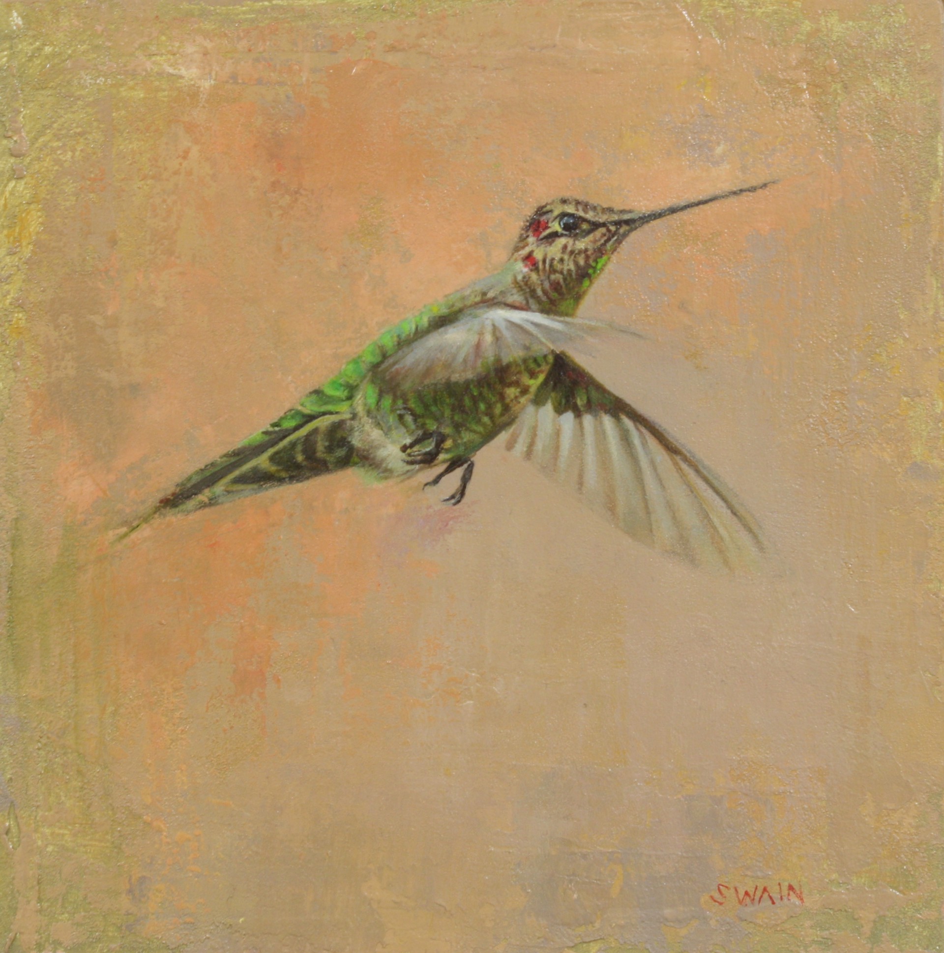 Hummingbird Flight by Tyler Swain