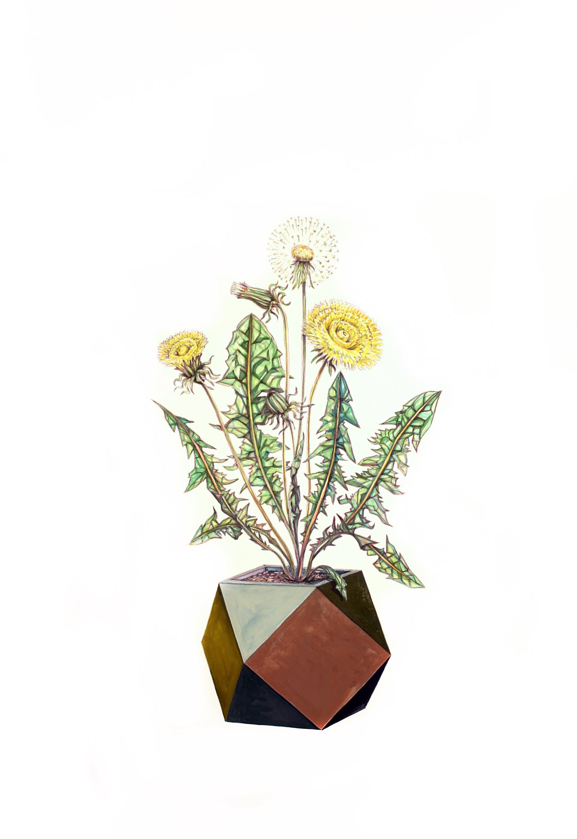 Dandelion Vase II by Todd Ryan White