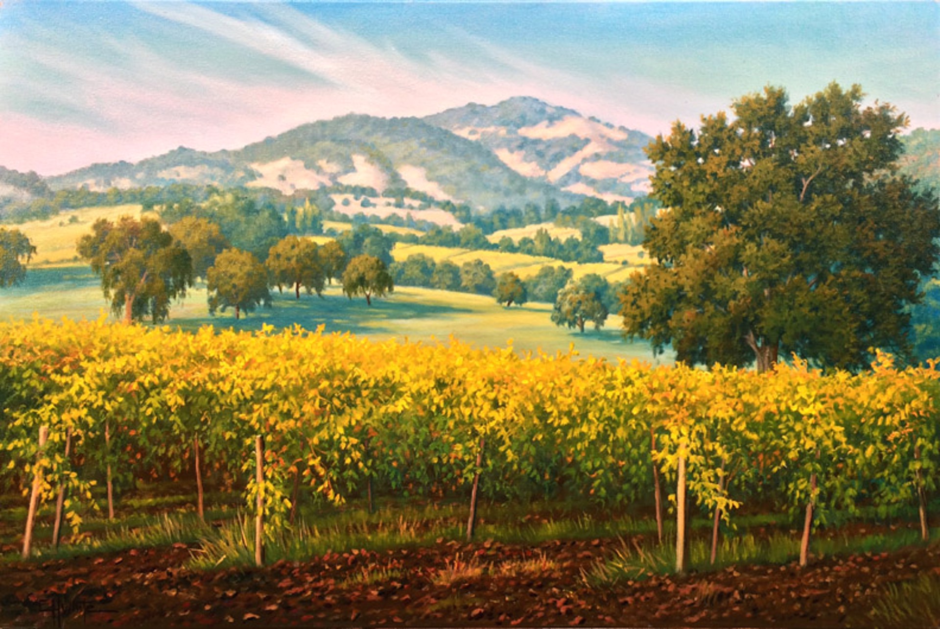 Sonora Vineyard by Charles White