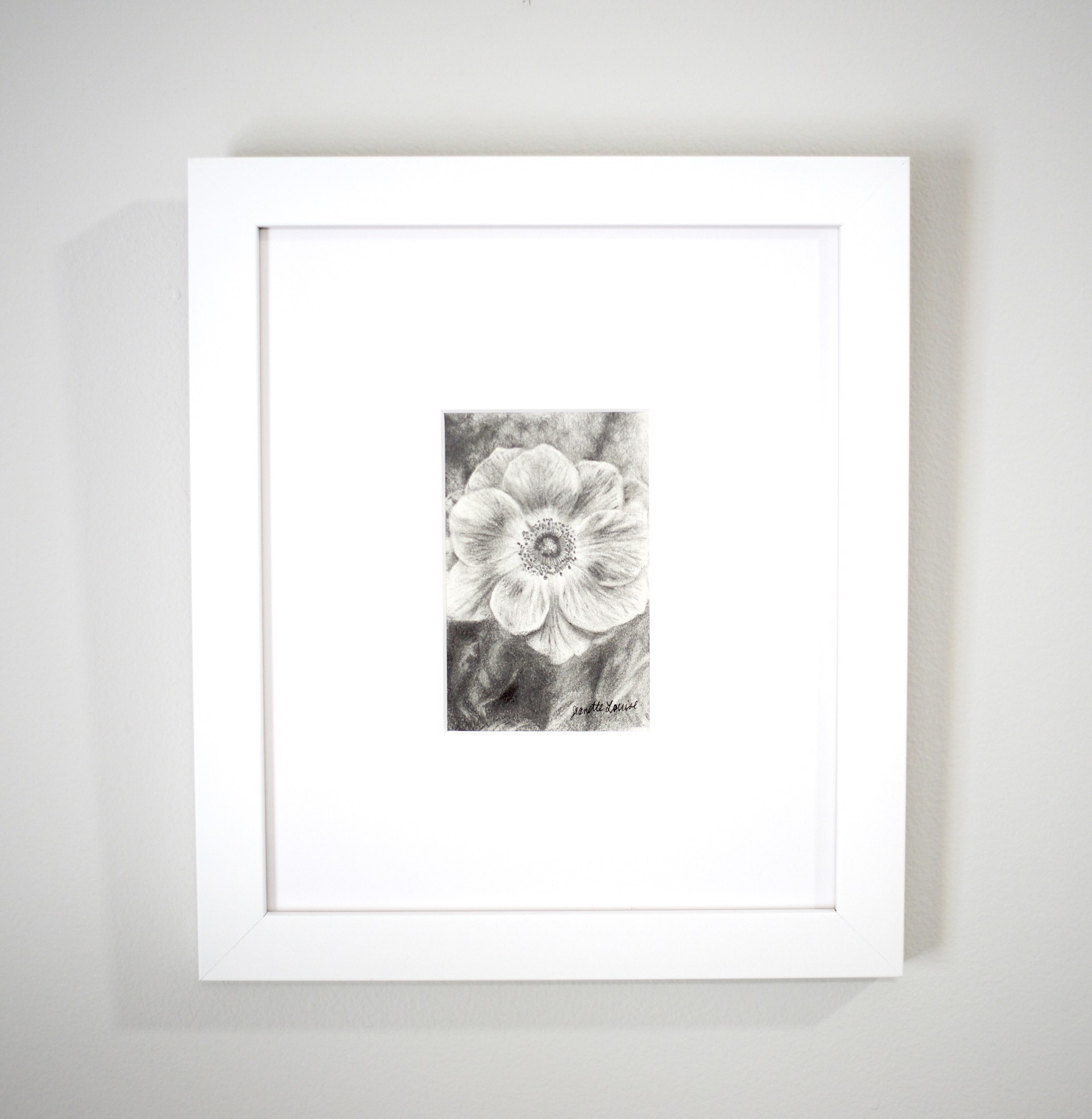 Anemone Flower by Jeanette Louise